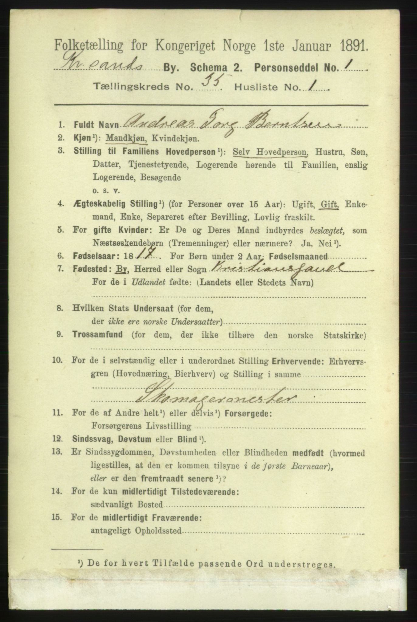 RA, 1891 census for 1001 Kristiansand, 1891, p. 11012