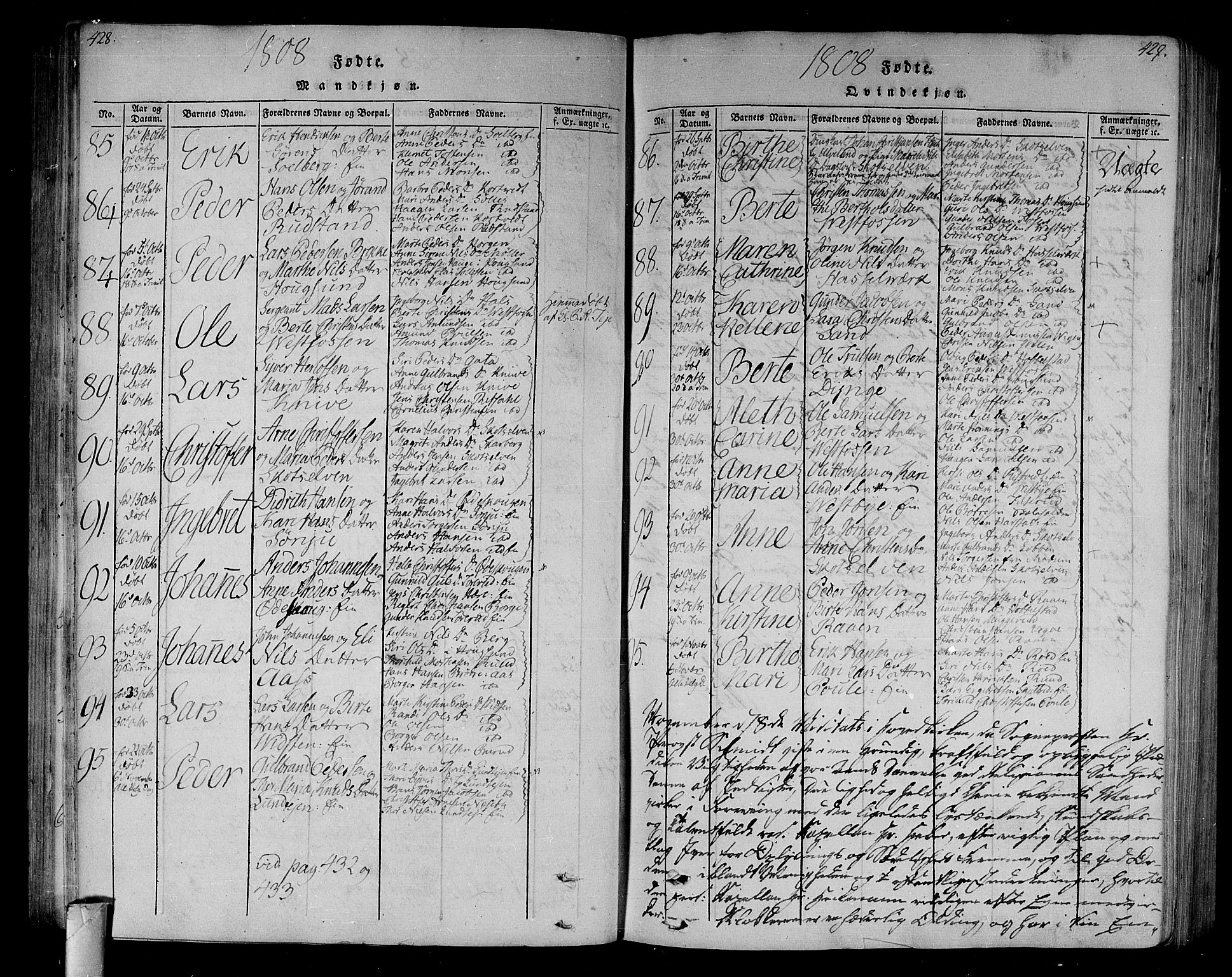 Eiker kirkebøker, SAKO/A-4/F/Fa/L0010: Parish register (official) no. I 10, 1806-1815, p. 428-429