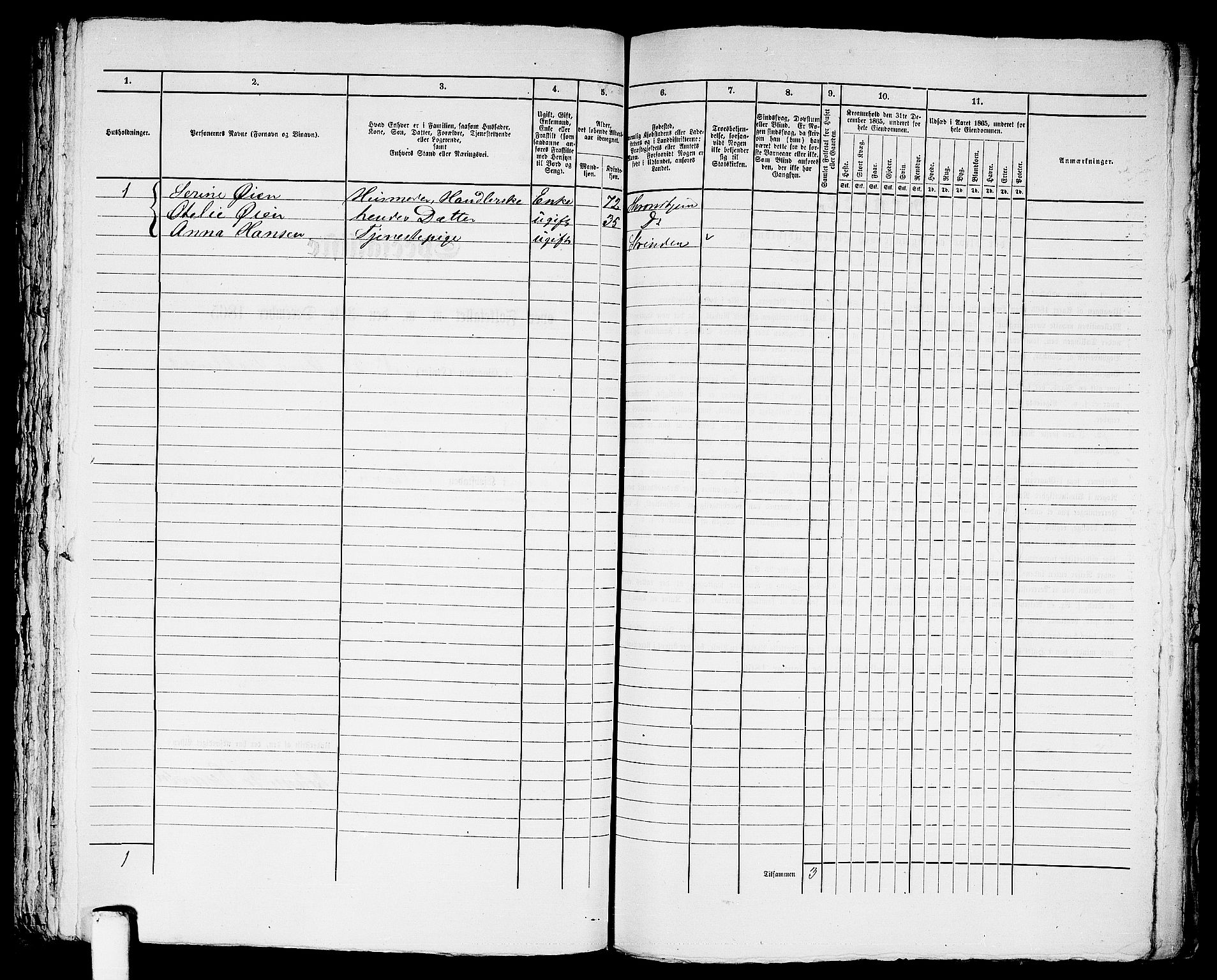 RA, 1865 census for Trondheim, 1865, p. 2463