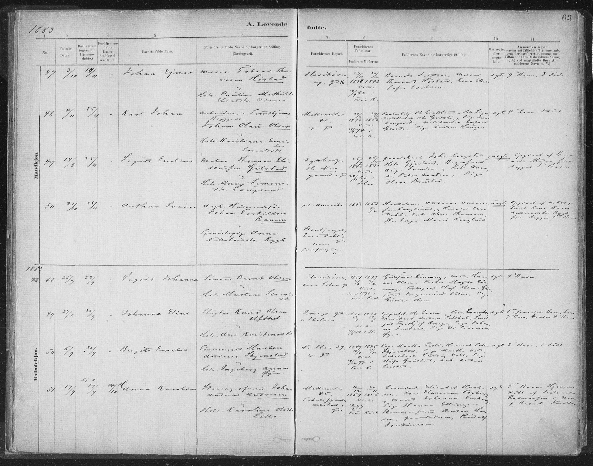 Ministerialprotokoller, klokkerbøker og fødselsregistre - Sør-Trøndelag, AV/SAT-A-1456/603/L0162: Parish register (official) no. 603A01, 1879-1895, p. 63