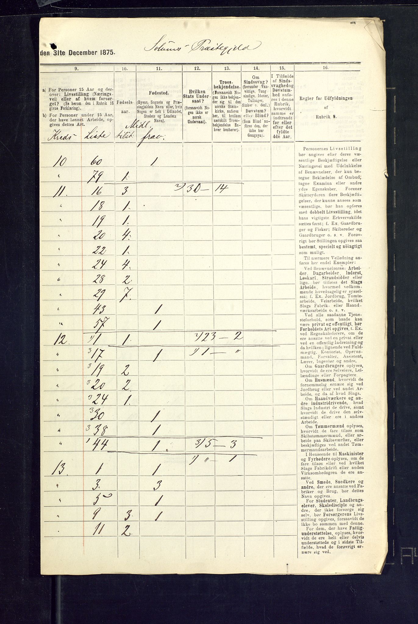 SAKO, 1875 census for 0818P Solum, 1875, p. 81