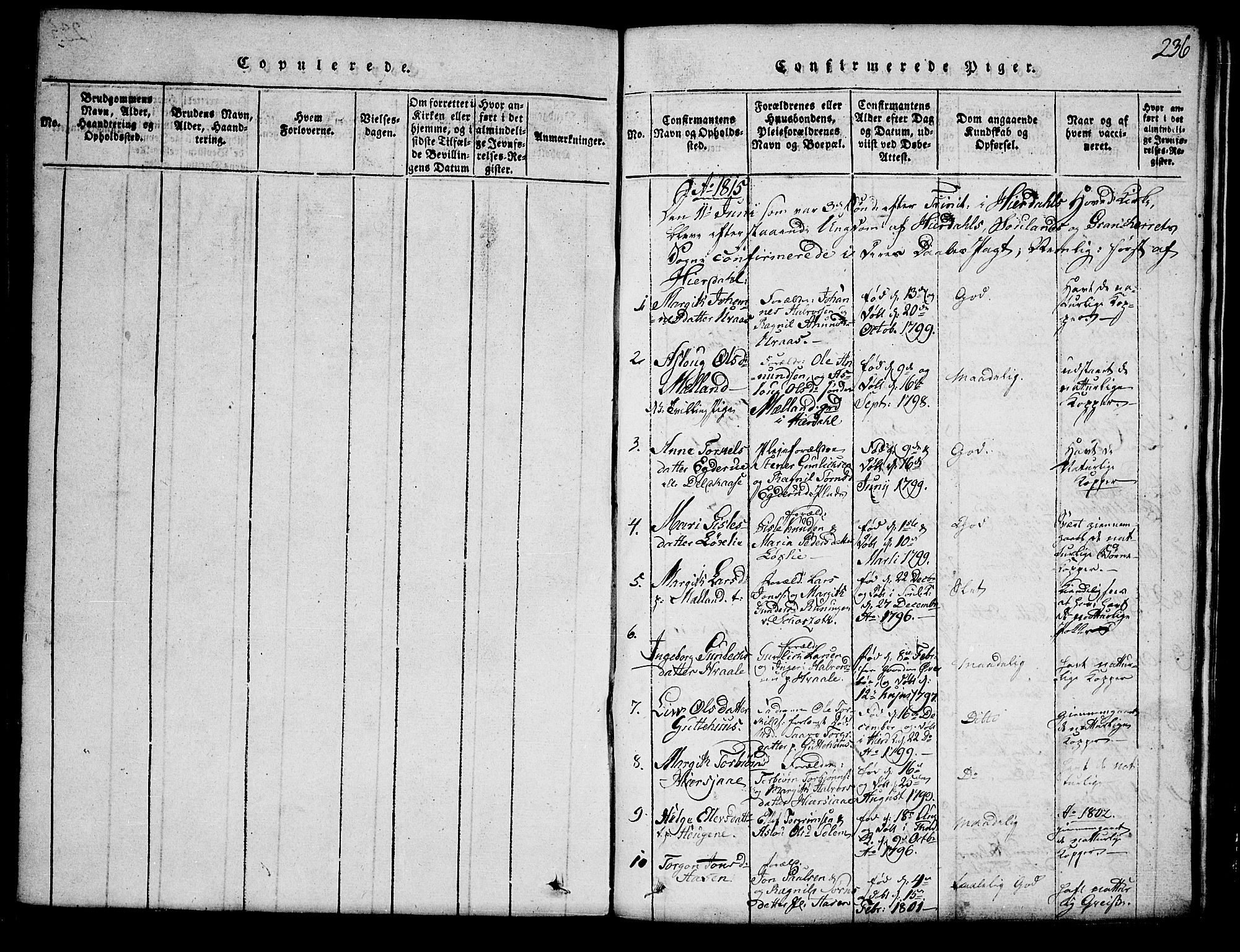 Hjartdal kirkebøker, AV/SAKO-A-270/G/Ga/L0001: Parish register (copy) no. I 1, 1815-1842, p. 236