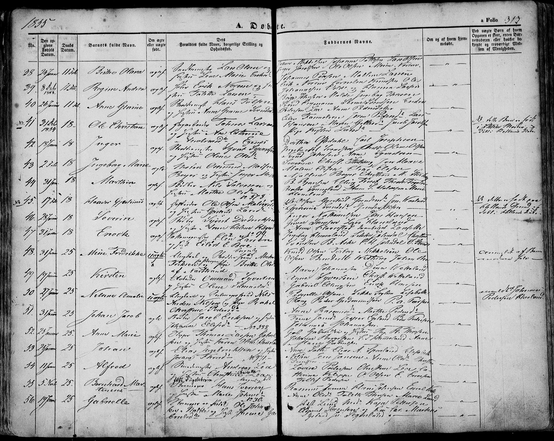 Domkirken sokneprestkontor, AV/SAST-A-101812/001/30/30BA/L0016: Parish register (official) no. A 15, 1844-1854, p. 313