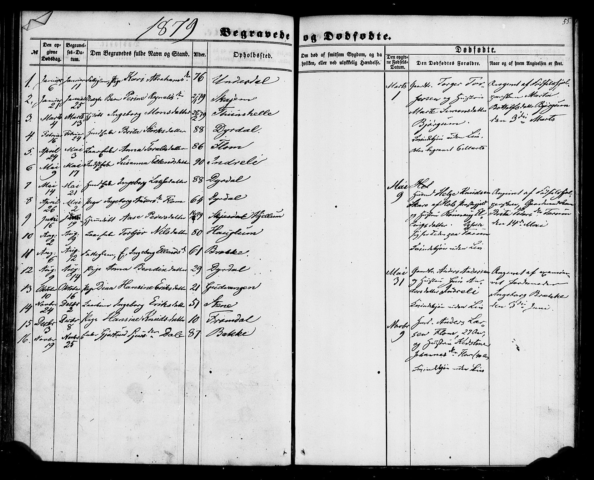 Aurland sokneprestembete, SAB/A-99937/H/Ha/Haa/L0011: Parish register (official) no. A 11, 1857-1879, p. 55