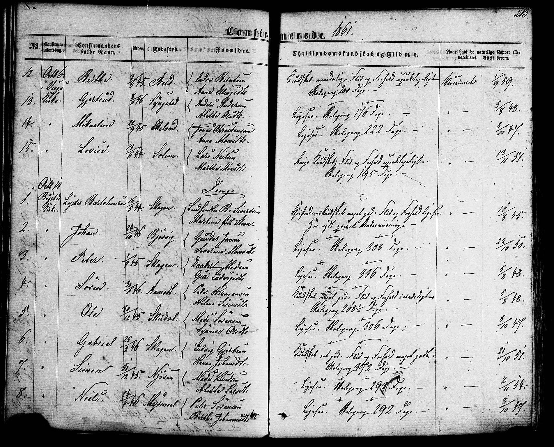 Gaular sokneprestembete, SAB/A-80001/H/Haa: Parish register (official) no. A 5, 1860-1881, p. 213