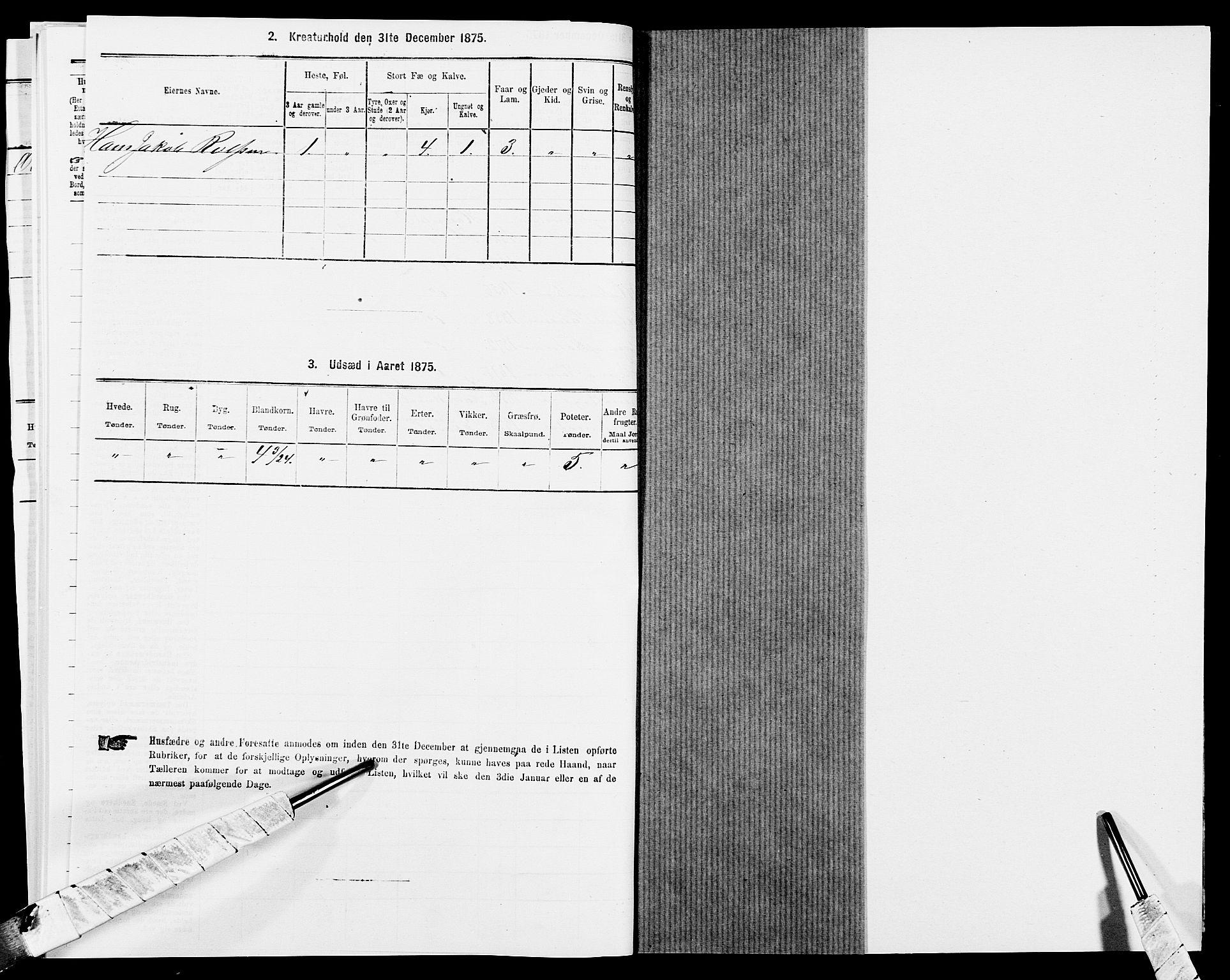 SAK, 1875 census for 1034P Hægebostad, 1875, p. 345