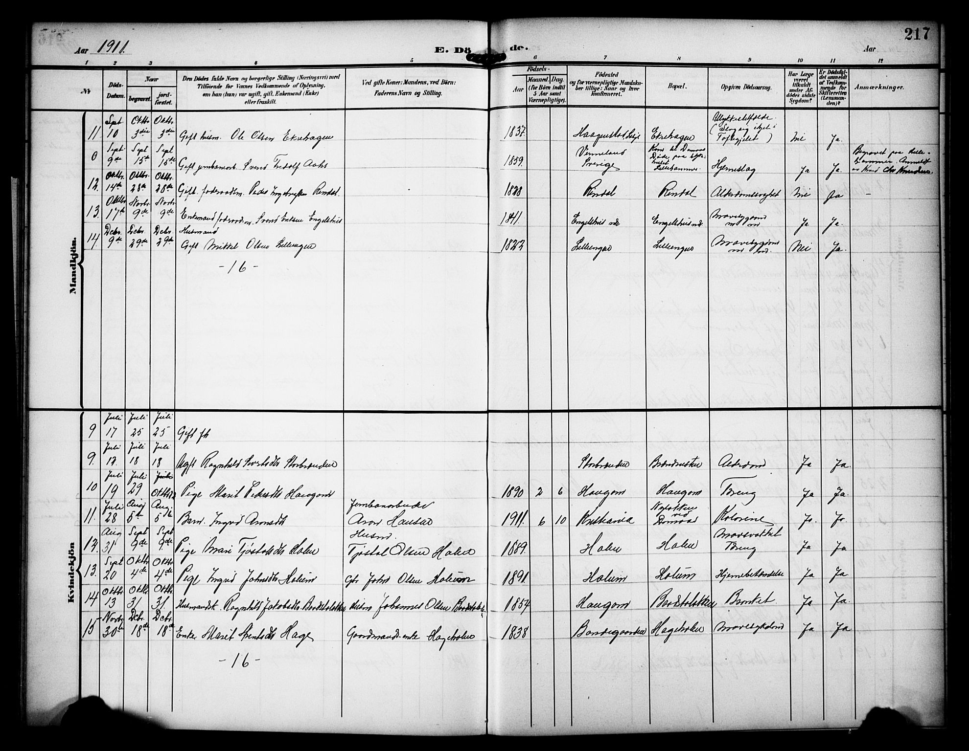 Dovre prestekontor, AV/SAH-PREST-066/H/Ha/Hab/L0003: Parish register (copy) no. 3, 1907-1929, p. 217