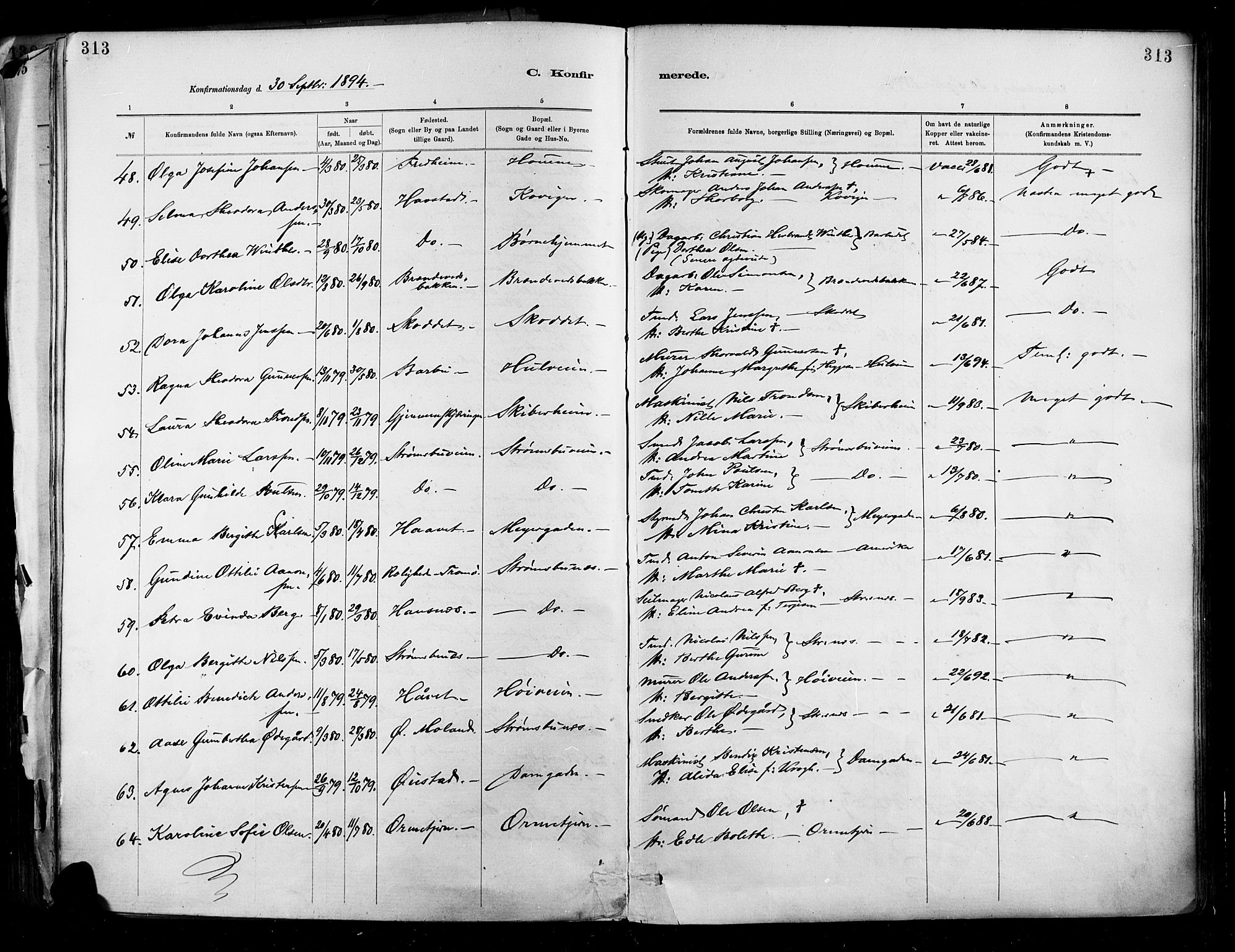 Barbu sokneprestkontor, SAK/1111-0003/F/Fa/L0002: Parish register (official) no. A 2, 1883-1898, p. 313