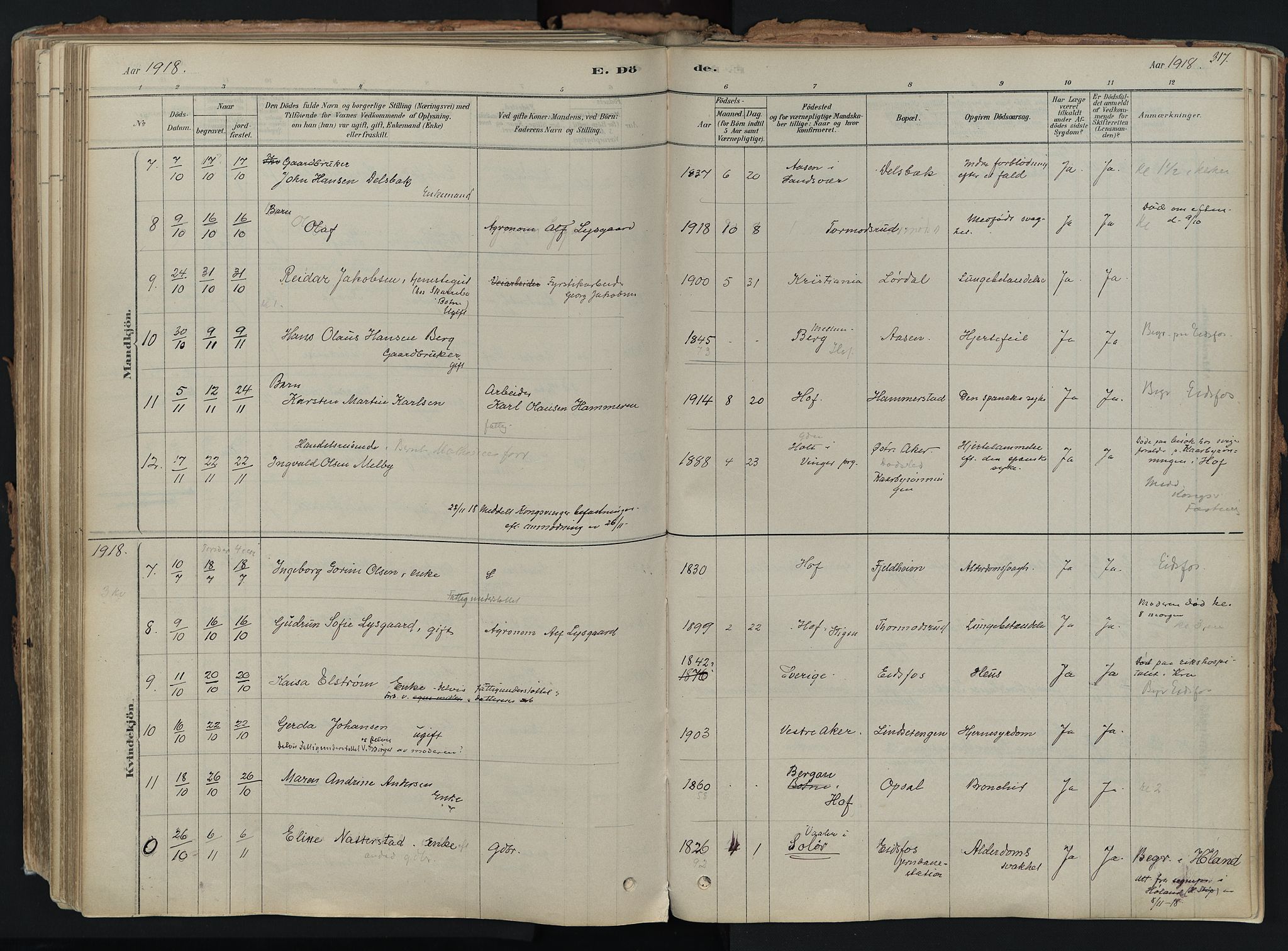 Hof kirkebøker, AV/SAKO-A-64/F/Fa/L0007: Parish register (official) no. I 7, 1878-1940, p. 317