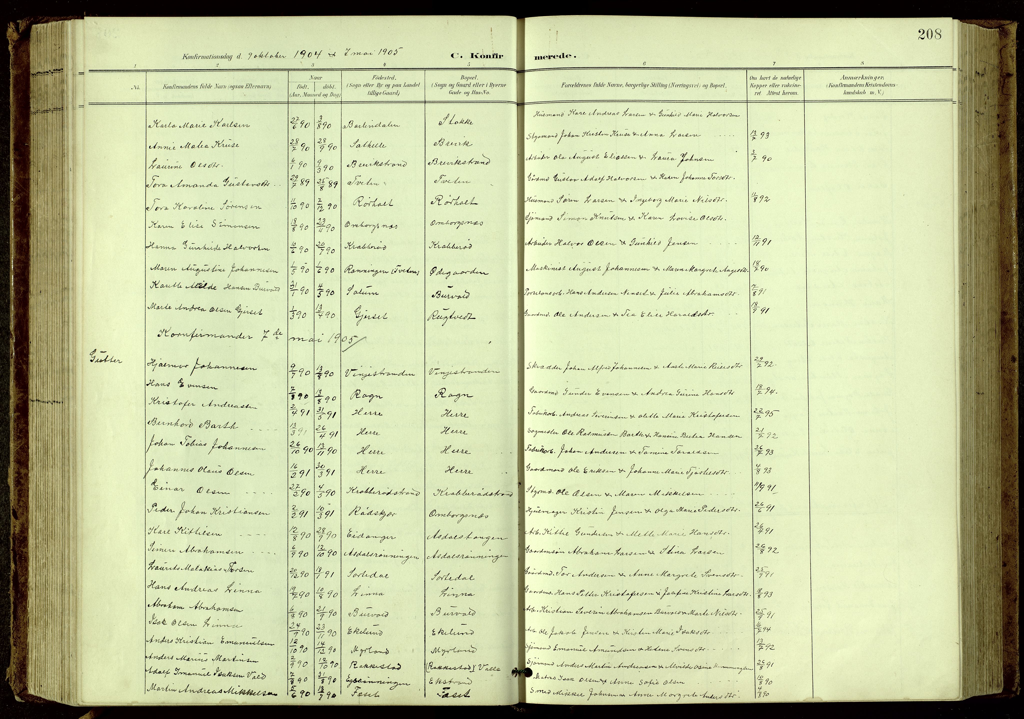 Bamble kirkebøker, SAKO/A-253/G/Ga/L0010: Parish register (copy) no. I 10, 1901-1919, p. 208