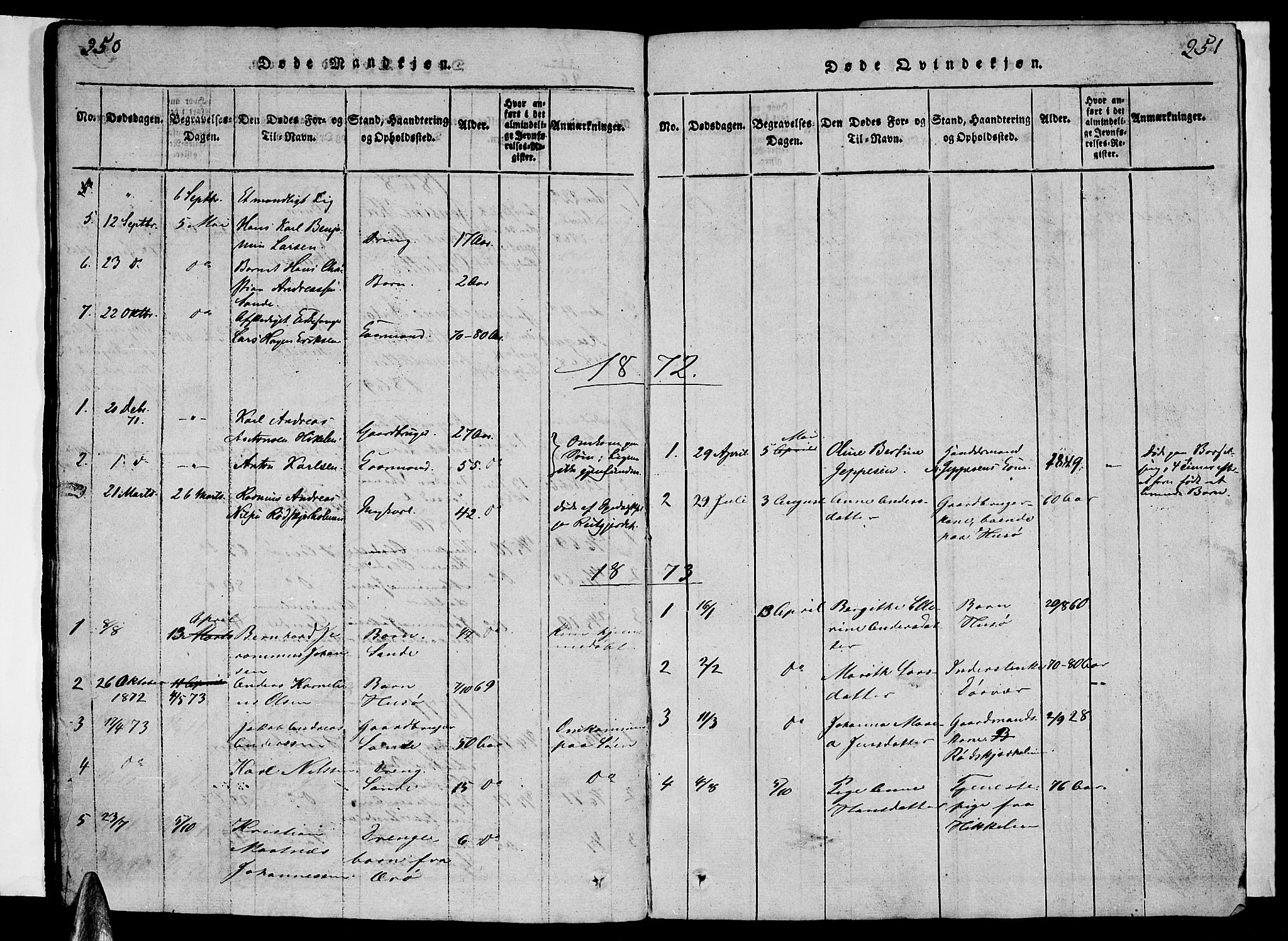 Ministerialprotokoller, klokkerbøker og fødselsregistre - Nordland, AV/SAT-A-1459/840/L0581: Parish register (copy) no. 840C01, 1820-1873, p. 250-251