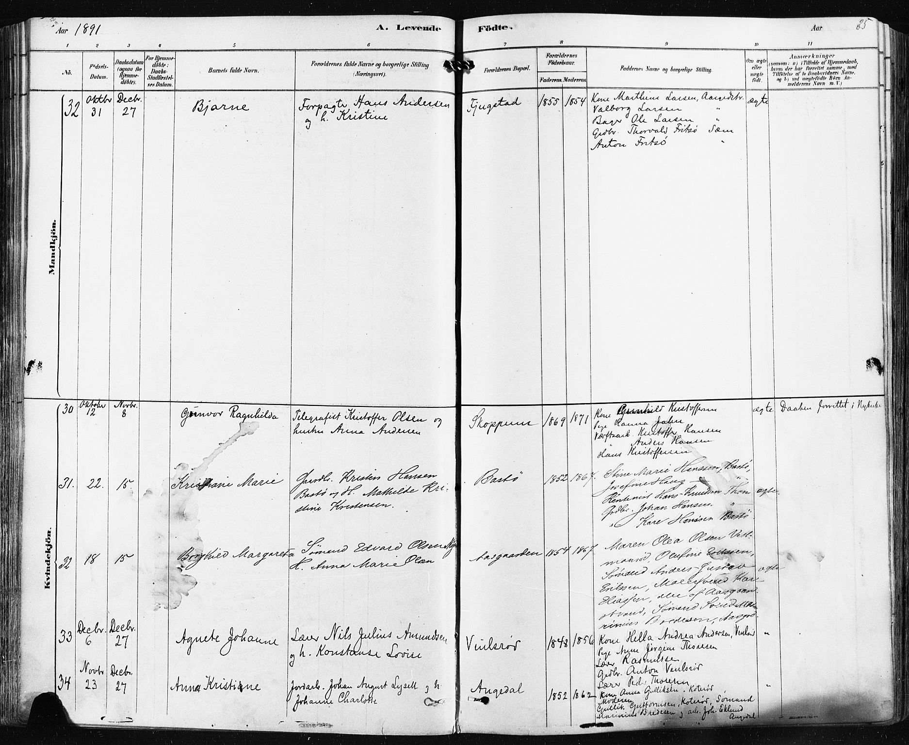 Borre kirkebøker, AV/SAKO-A-338/F/Fa/L0009: Parish register (official) no. I 9, 1878-1896, p. 85