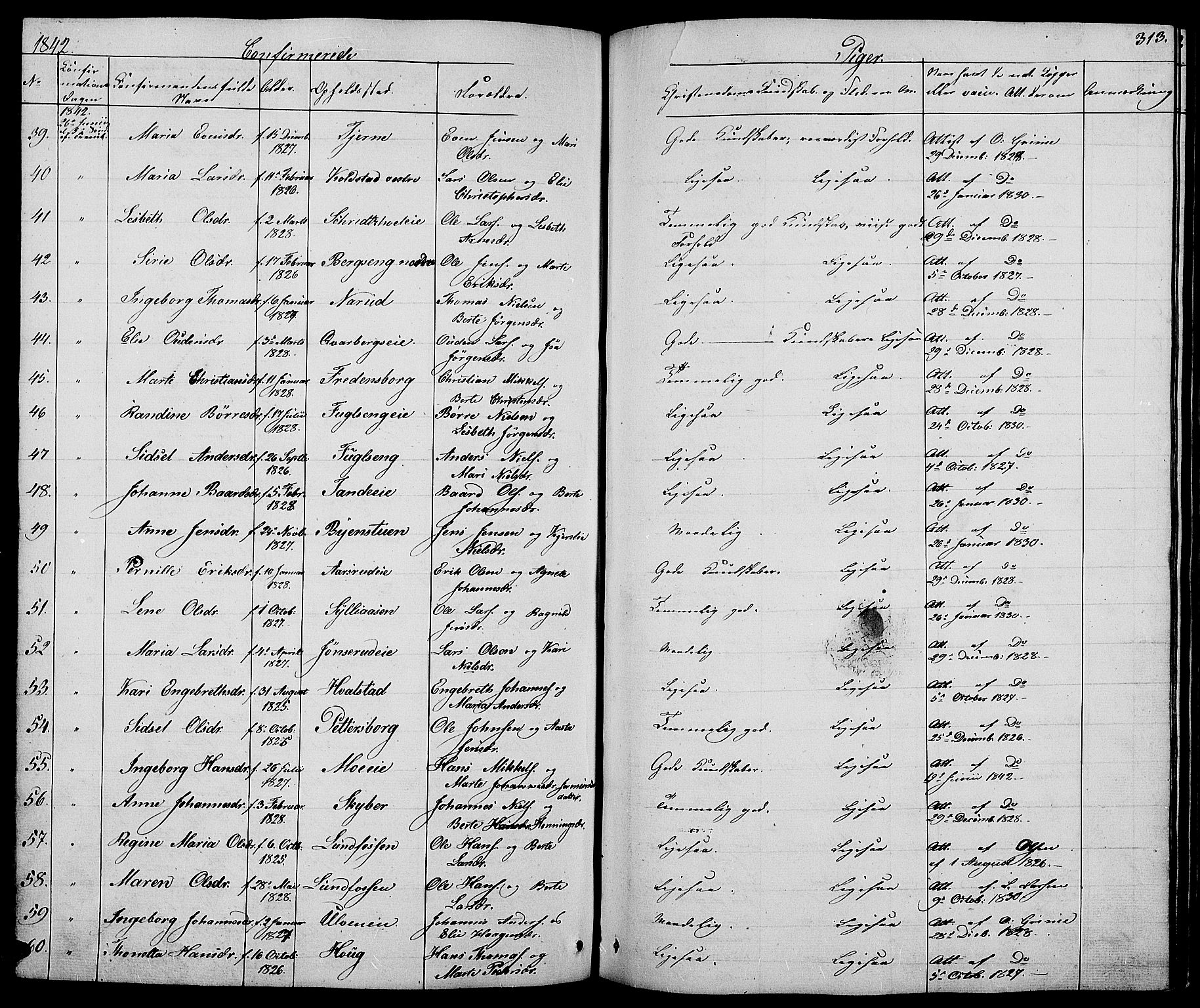 Ringsaker prestekontor, AV/SAH-PREST-014/L/La/L0005: Parish register (copy) no. 5, 1839-1850, p. 313