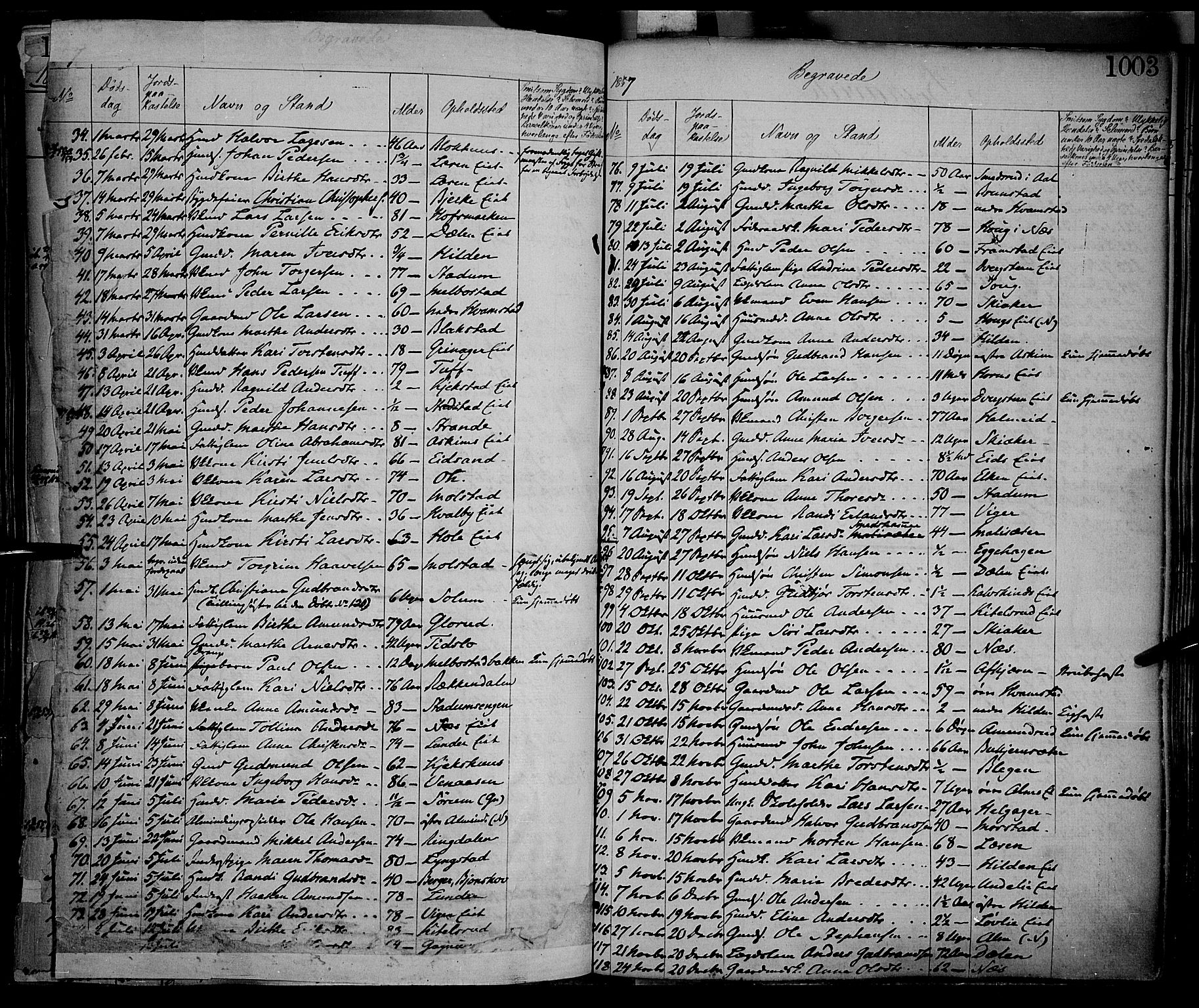 Gran prestekontor, SAH/PREST-112/H/Ha/Haa/L0012: Parish register (official) no. 12, 1856-1874, p. 1002-1003