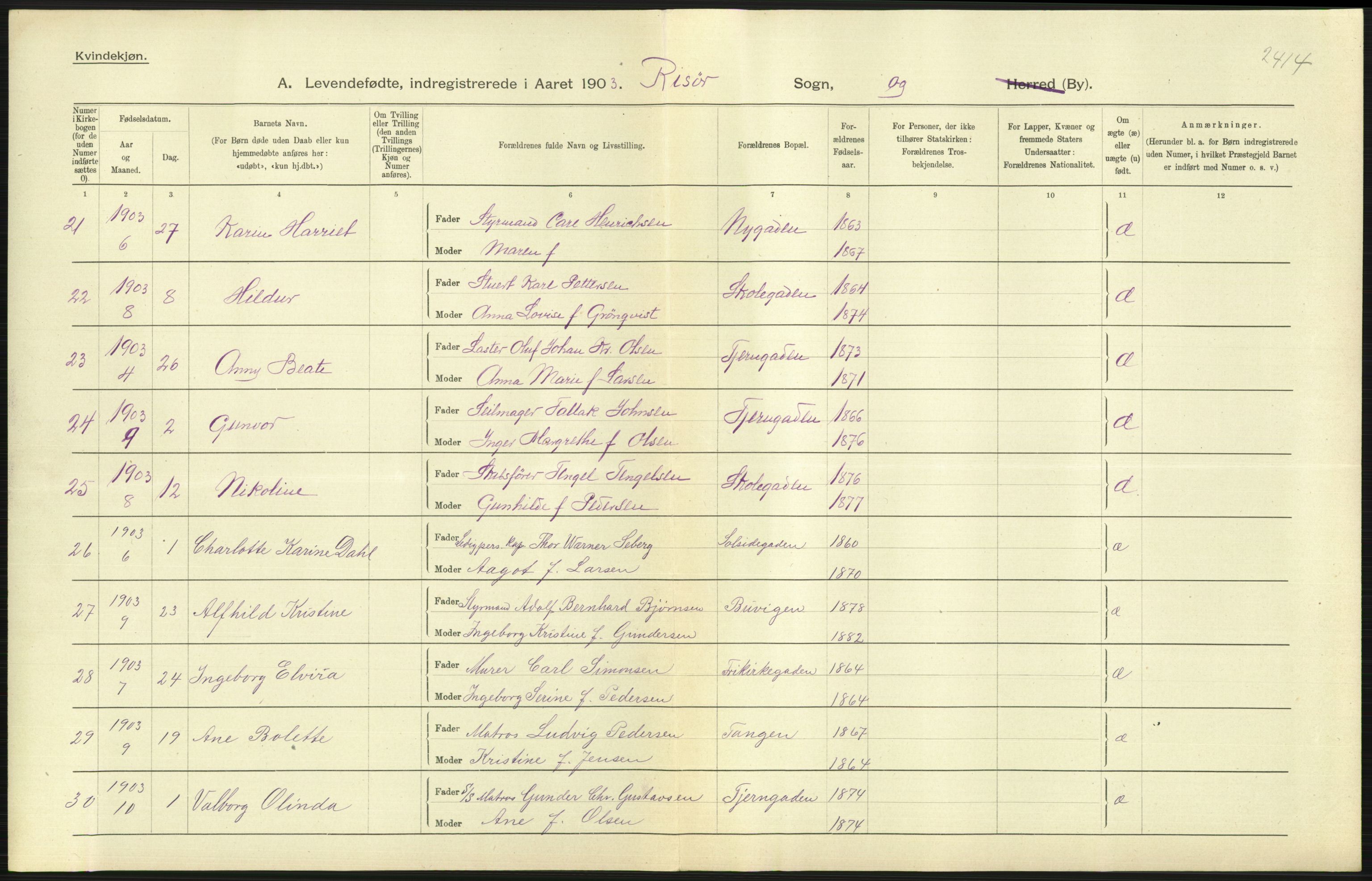 Statistisk sentralbyrå, Sosiodemografiske emner, Befolkning, RA/S-2228/D/Df/Dfa/Dfaa/L0010: Nedenes amt: Fødte, gifte, døde, 1903, p. 209