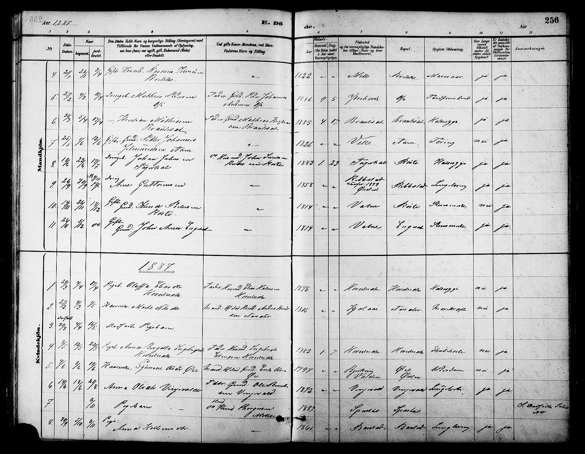 Ministerialprotokoller, klokkerbøker og fødselsregistre - Møre og Romsdal, AV/SAT-A-1454/513/L0189: Parish register (copy) no. 513C03, 1883-1904, p. 256