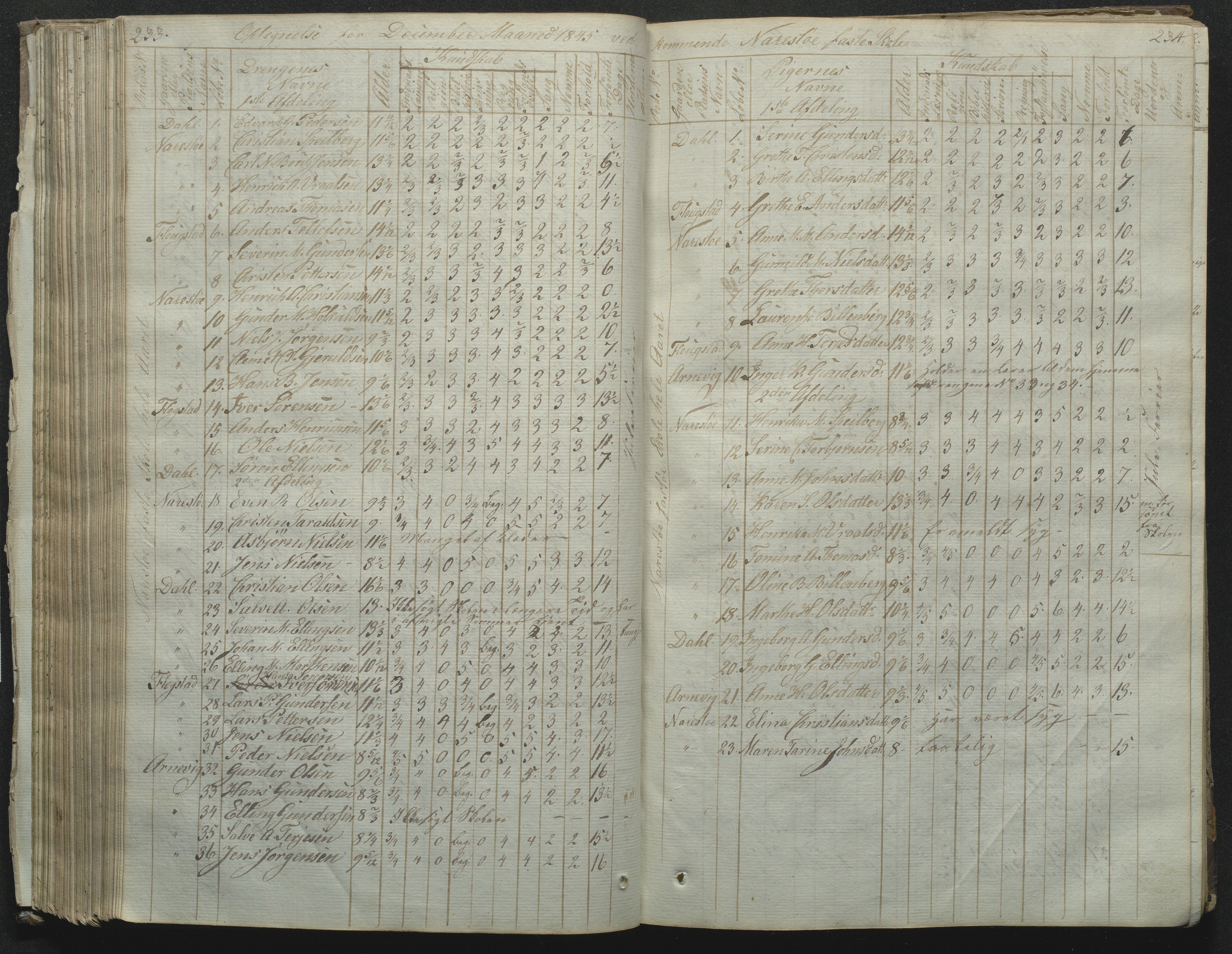 Flosta kommune, Narestø skole, AAKS/KA0916-550c/F2/L0001: Skoleprotokoll for Naresø faste skole, 1829-1862, p. 233-234