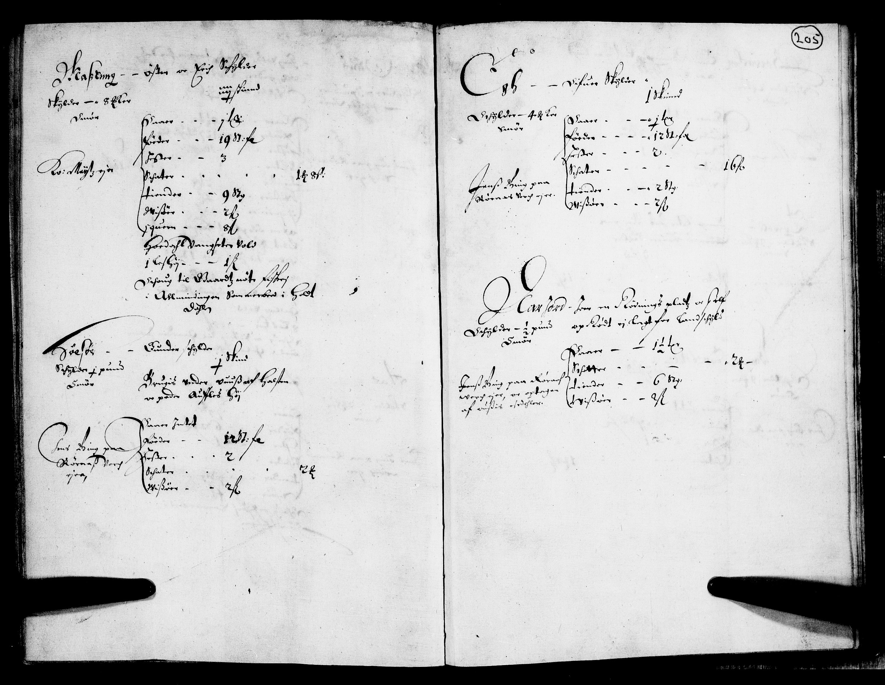 Rentekammeret inntil 1814, Realistisk ordnet avdeling, AV/RA-EA-4070/N/Nb/Nba/L0011: Odal, Solør og Østerdalen fogderi, 1667, p. 204b-205a