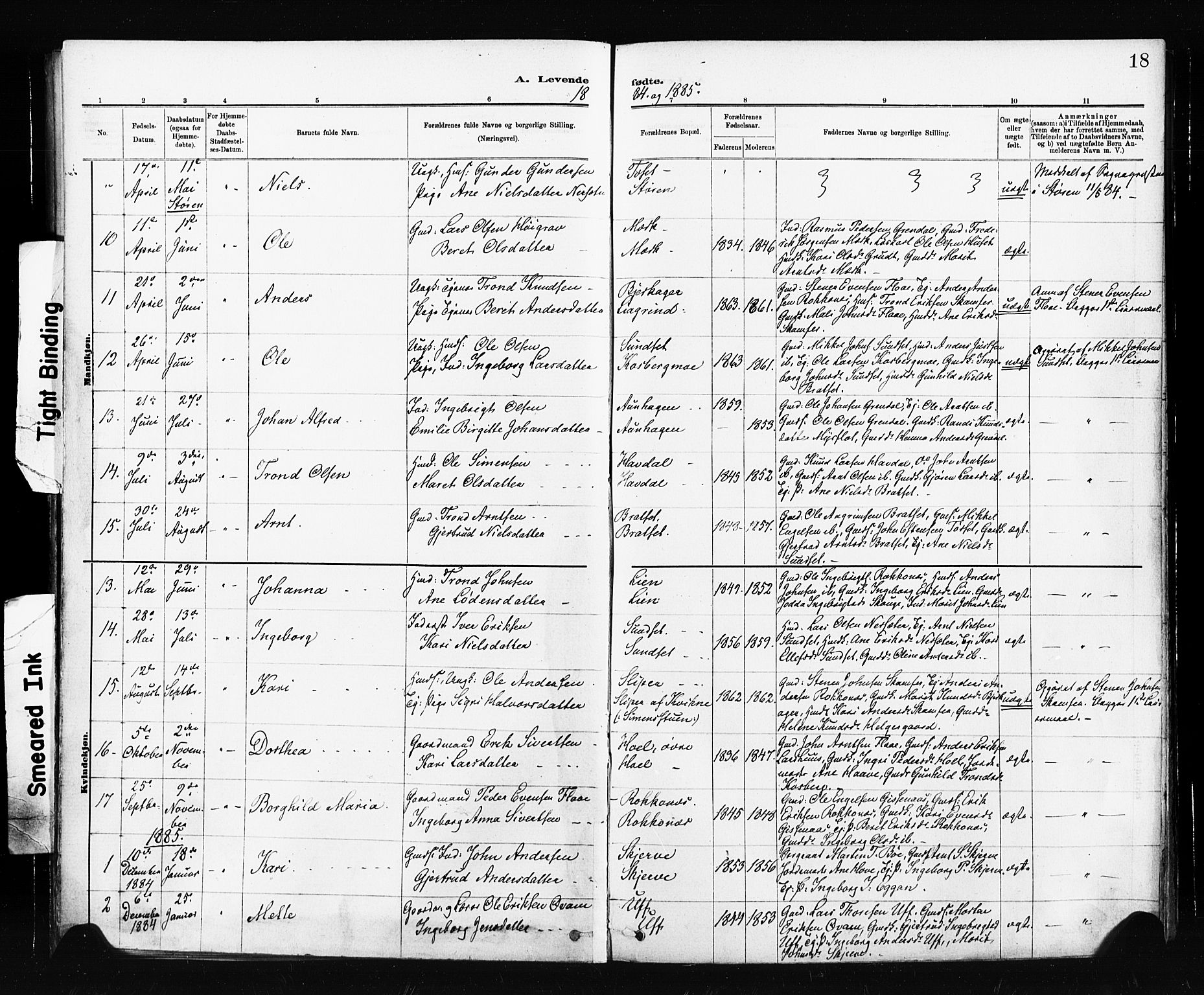 Ministerialprotokoller, klokkerbøker og fødselsregistre - Sør-Trøndelag, SAT/A-1456/674/L0871: Parish register (official) no. 674A03, 1880-1896, p. 18