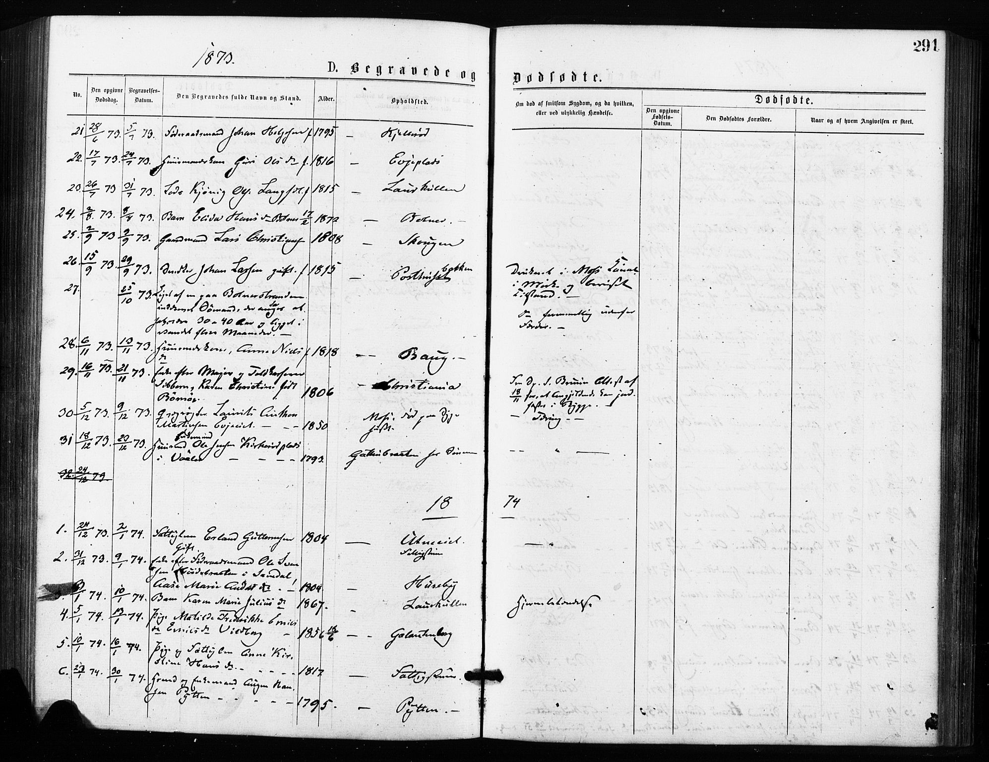 Rygge prestekontor Kirkebøker, SAO/A-10084b/F/Fa/L0006: Parish register (official) no. 6, 1872-1877, p. 291