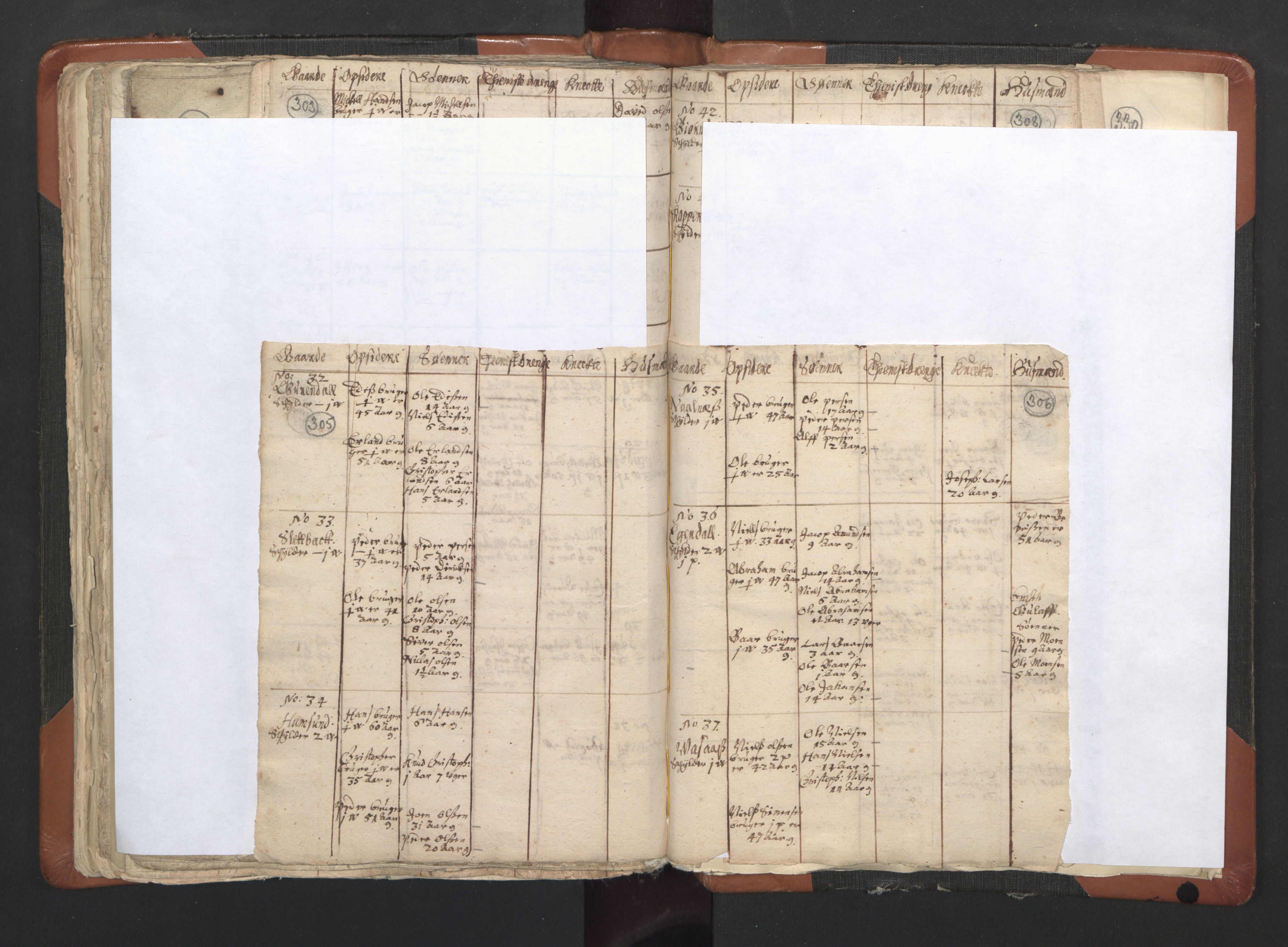 RA, Vicar's Census 1664-1666, no. 35: Helgeland deanery and Salten deanery, 1664-1666, p. 305-306