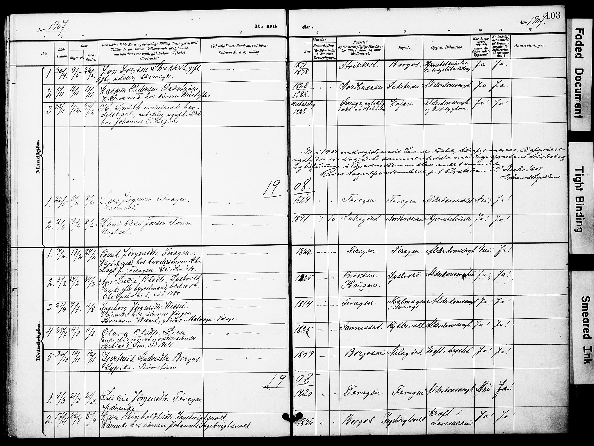 Ministerialprotokoller, klokkerbøker og fødselsregistre - Sør-Trøndelag, AV/SAT-A-1456/683/L0950: Parish register (copy) no. 683C02, 1897-1918, p. 103
