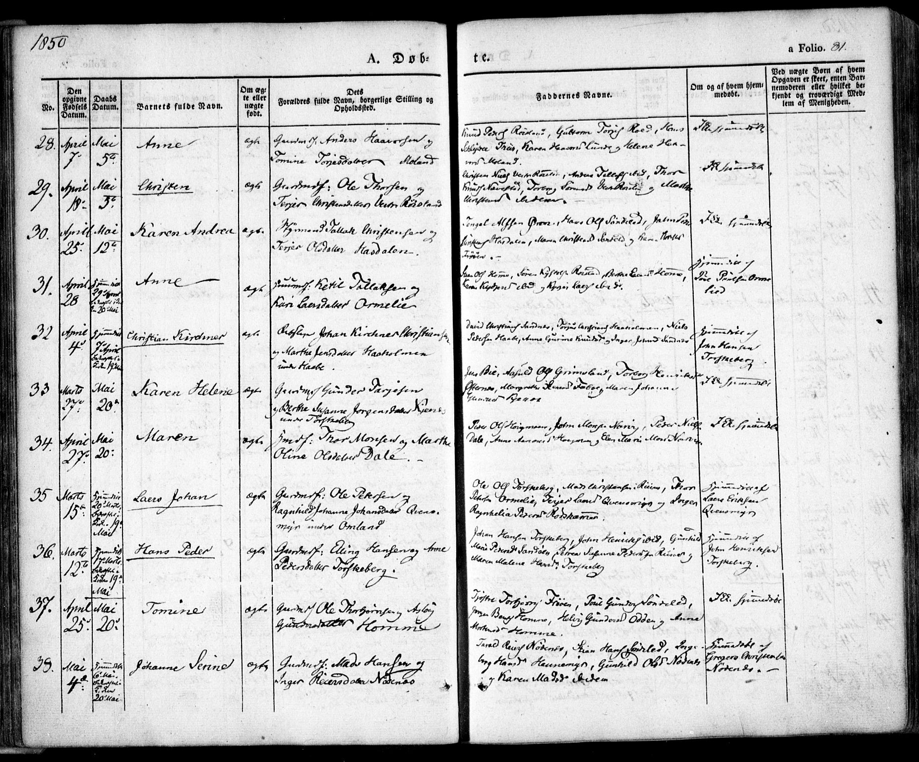 Søndeled sokneprestkontor, SAK/1111-0038/F/Fa/L0002: Parish register (official) no. A 2, 1839-1860, p. 81