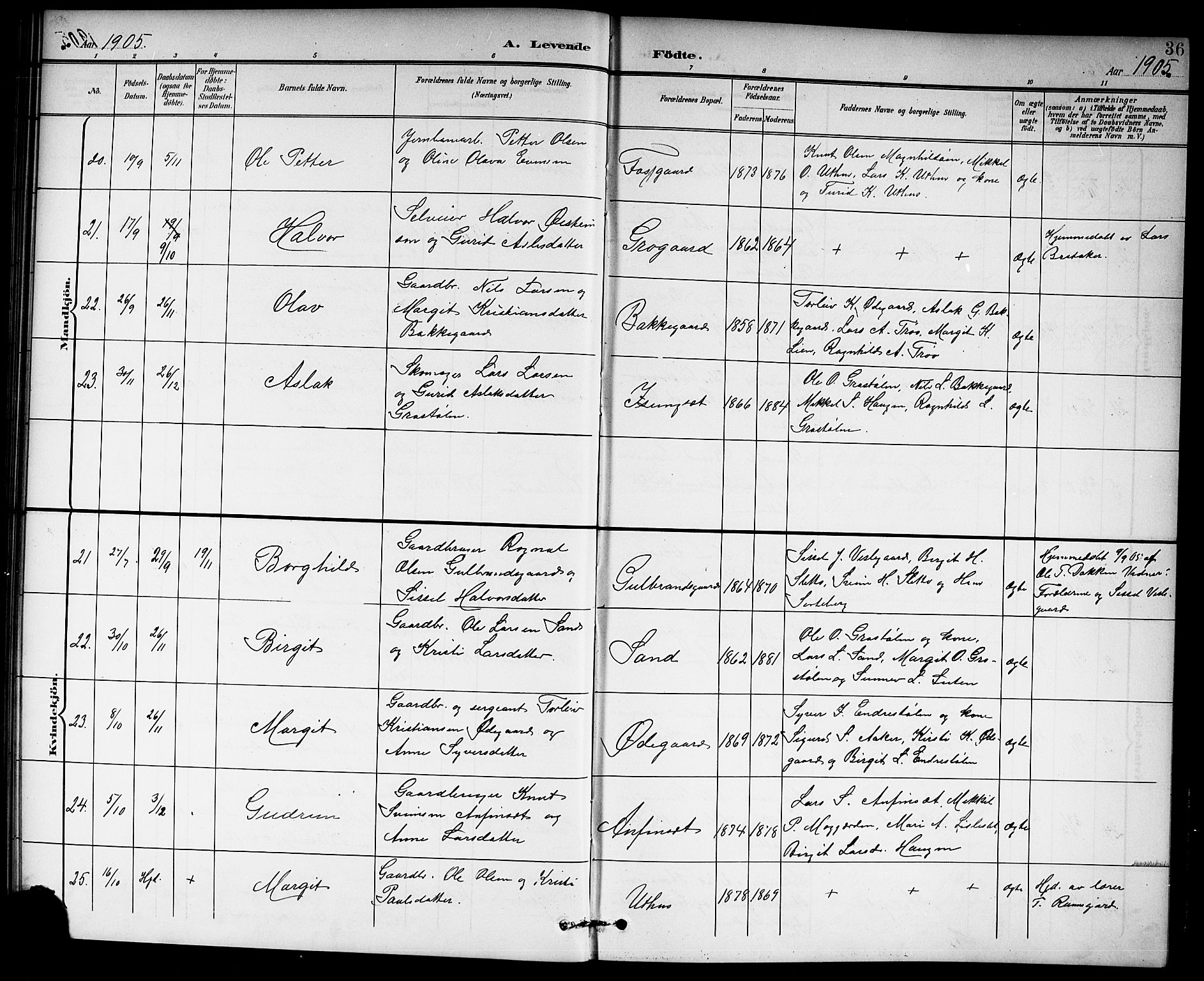 Hol kirkebøker, AV/SAKO-A-227/G/Ga/L0001: Parish register (copy) no. I 1, 1900-1919, p. 36