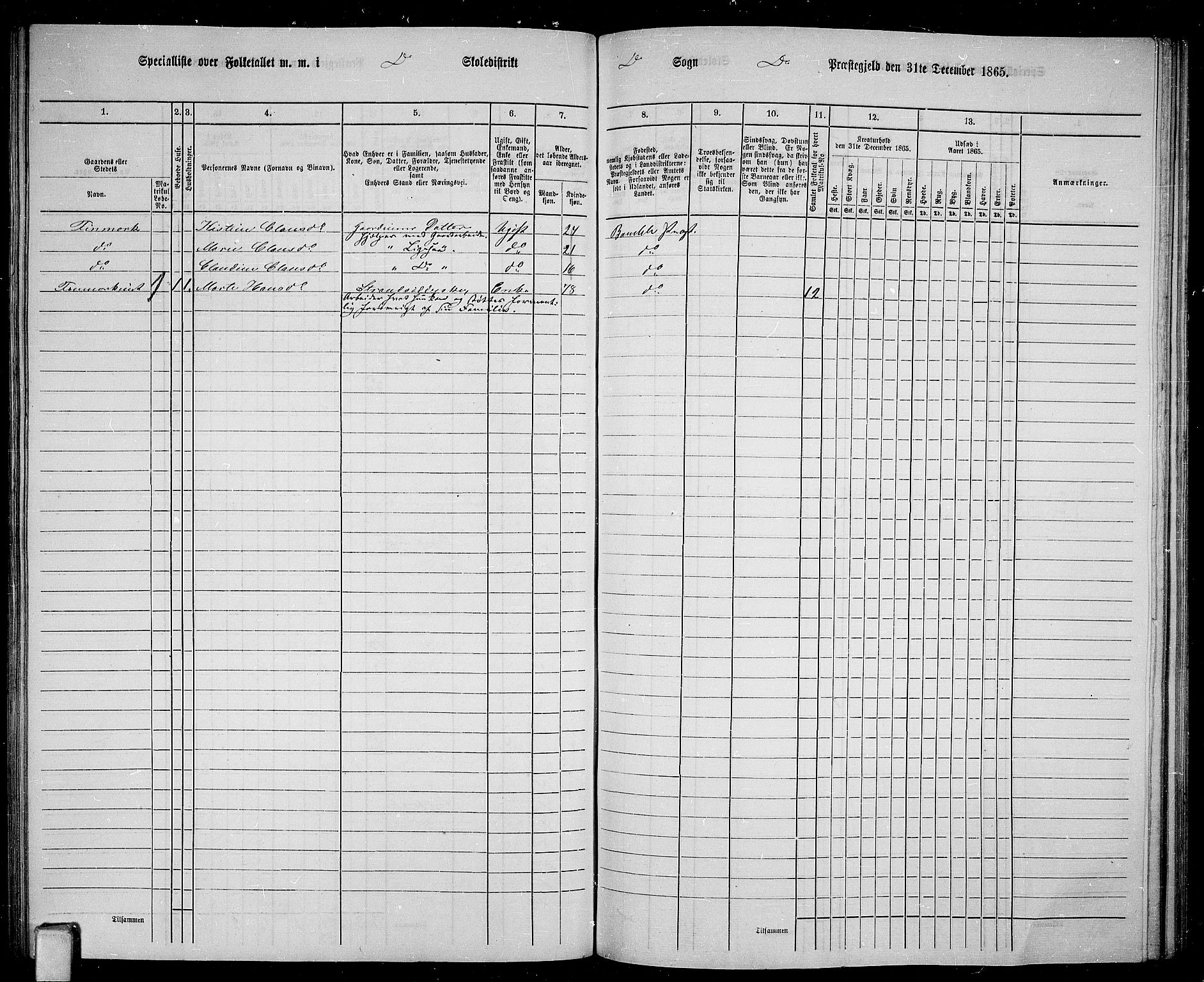 RA, 1865 census for Bamble, 1865, p. 128