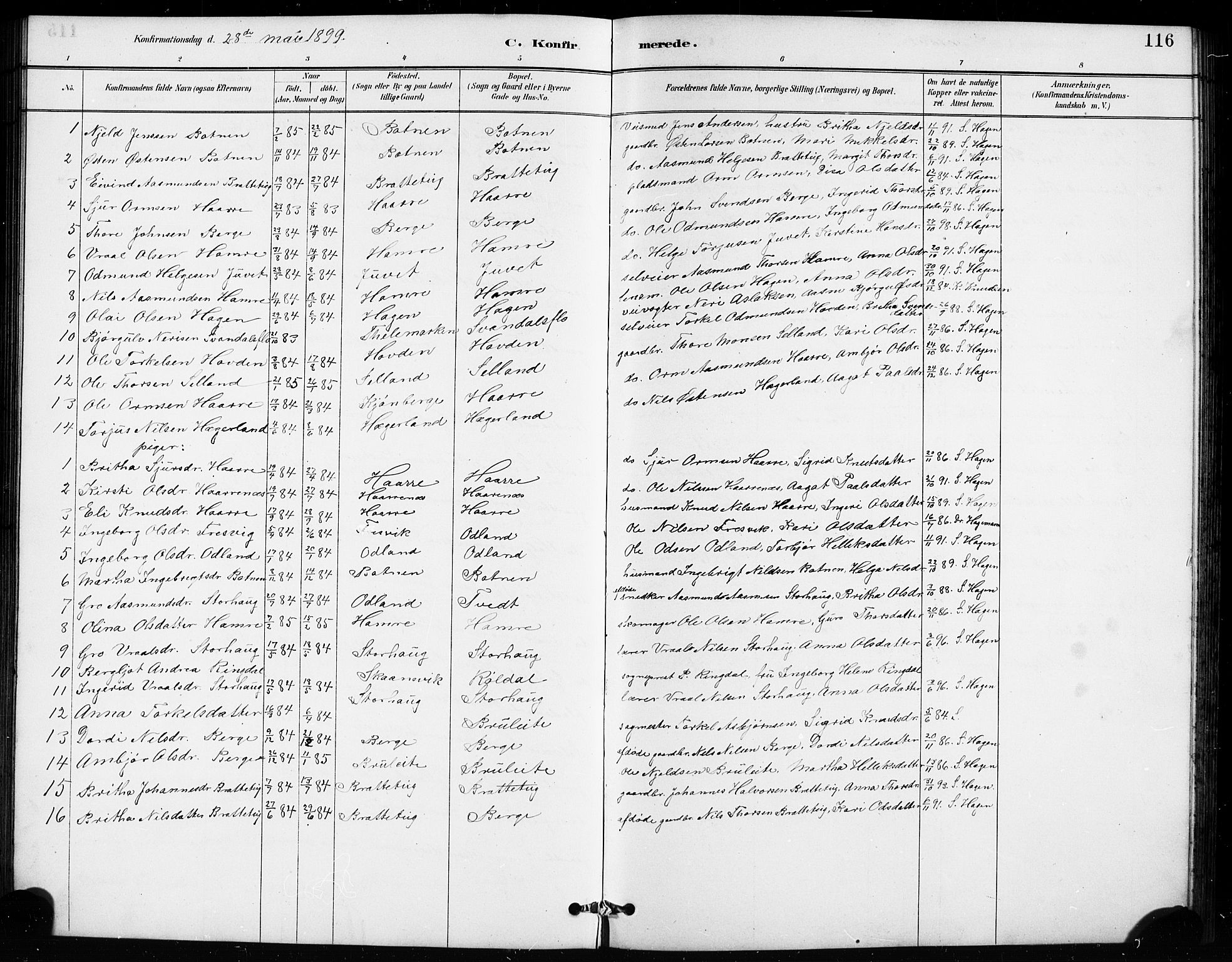 Røldal sokneprestembete, SAB/A-100247: Parish register (copy) no. A 3, 1887-1917, p. 116