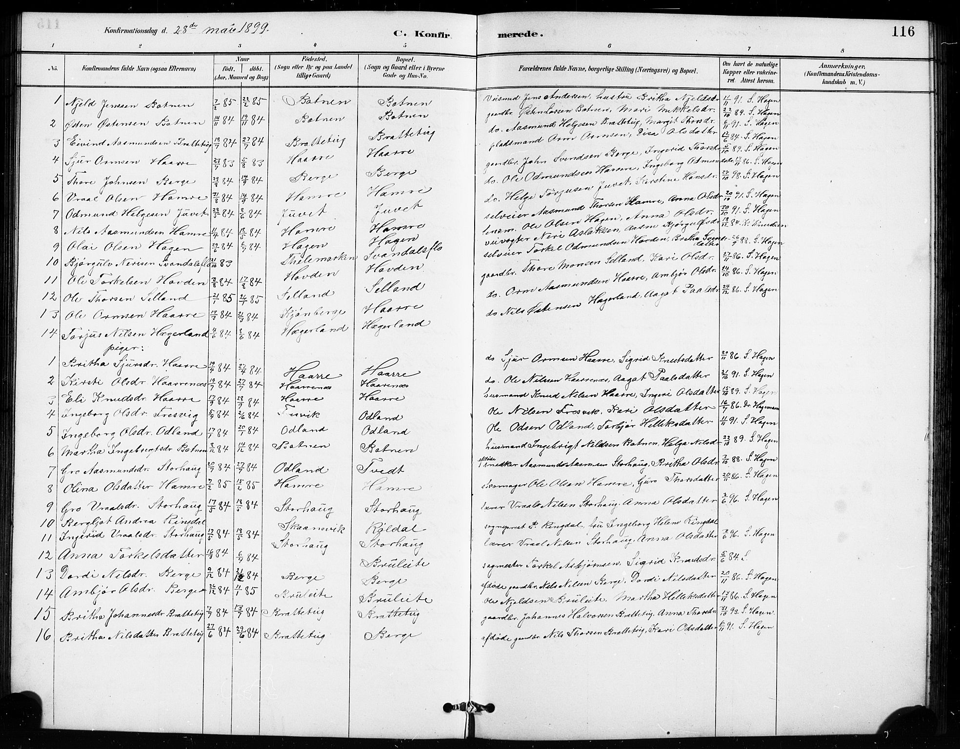 Røldal sokneprestembete, AV/SAB-A-100247: Parish register (copy) no. A 3, 1887-1917, p. 116