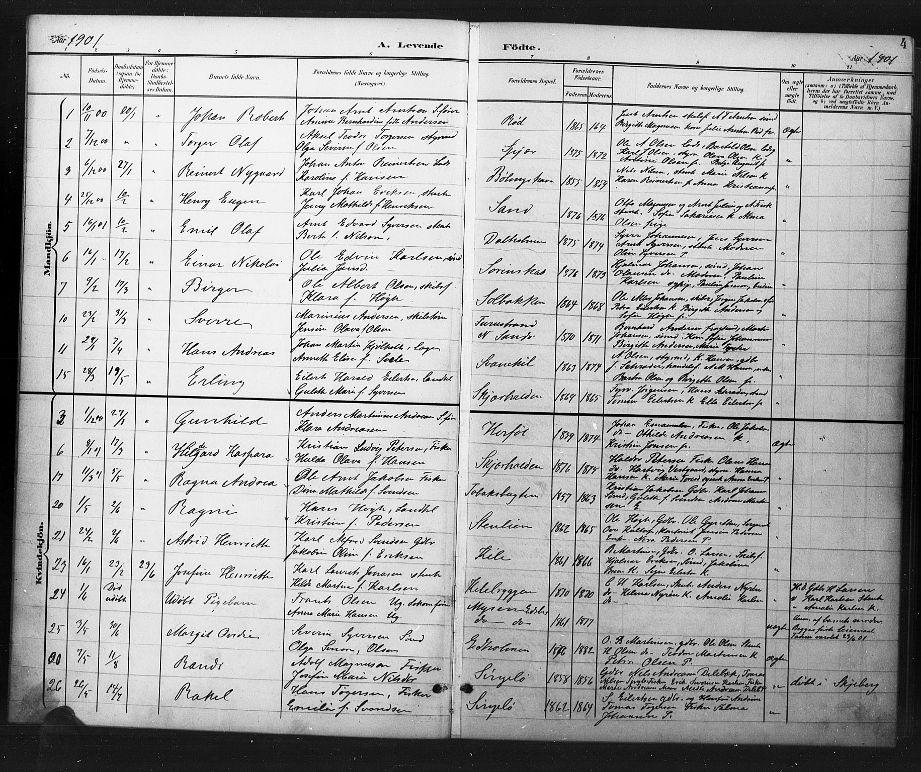 Hvaler prestekontor Kirkebøker, AV/SAO-A-2001/G/Ga/L0001: Parish register (copy) no. I 1, 1901-1930, p. 4