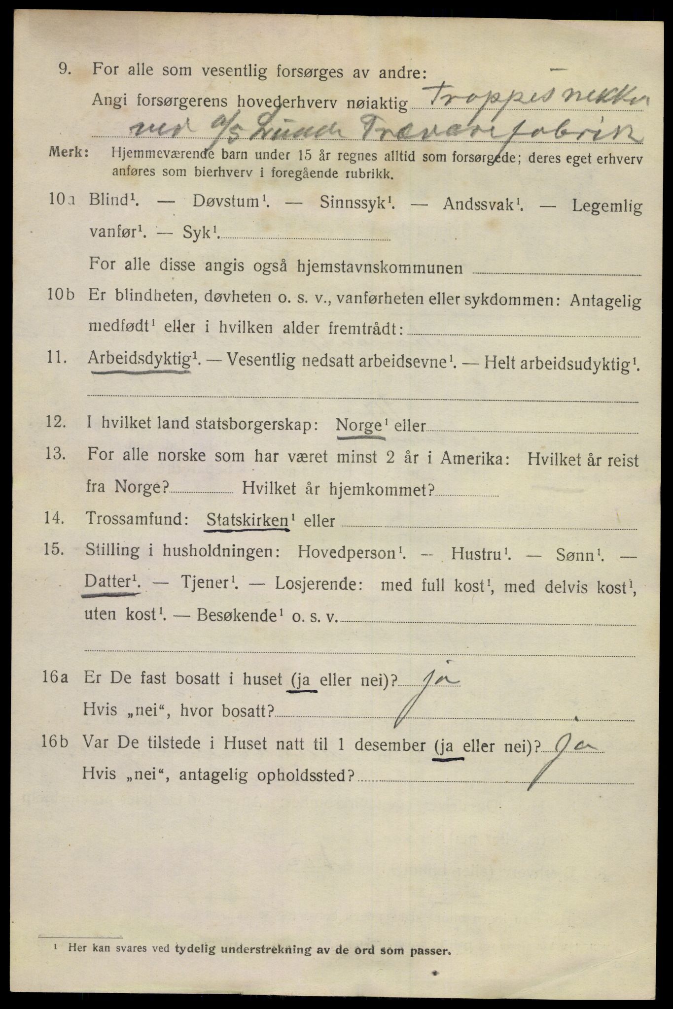 SAKO, 1920 census for Skien, 1920, p. 15173