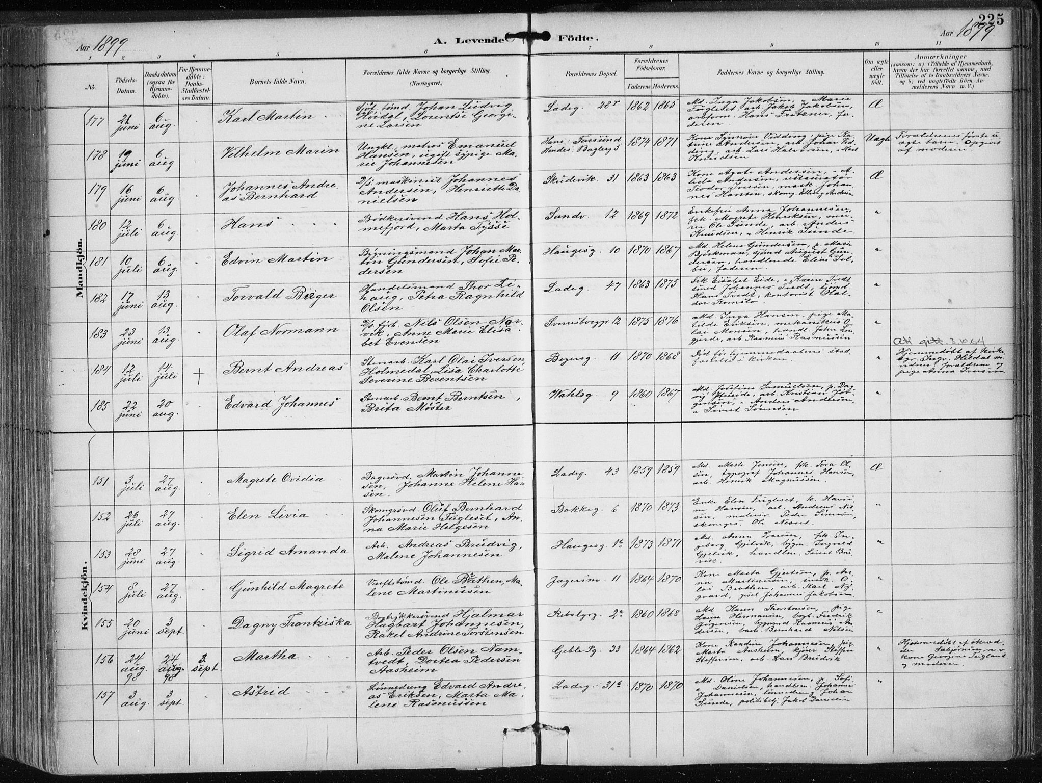 Sandviken Sokneprestembete, SAB/A-77601/H/Ha/L0005: Parish register (official) no. B 2, 1891-1901, p. 225