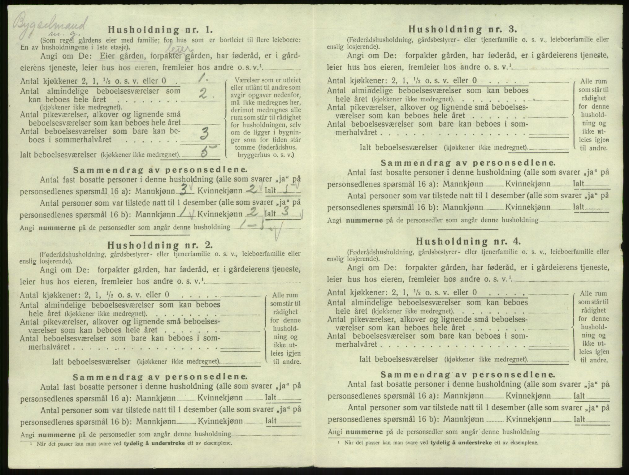 SAB, 1920 census for Lavik, 1920, p. 38