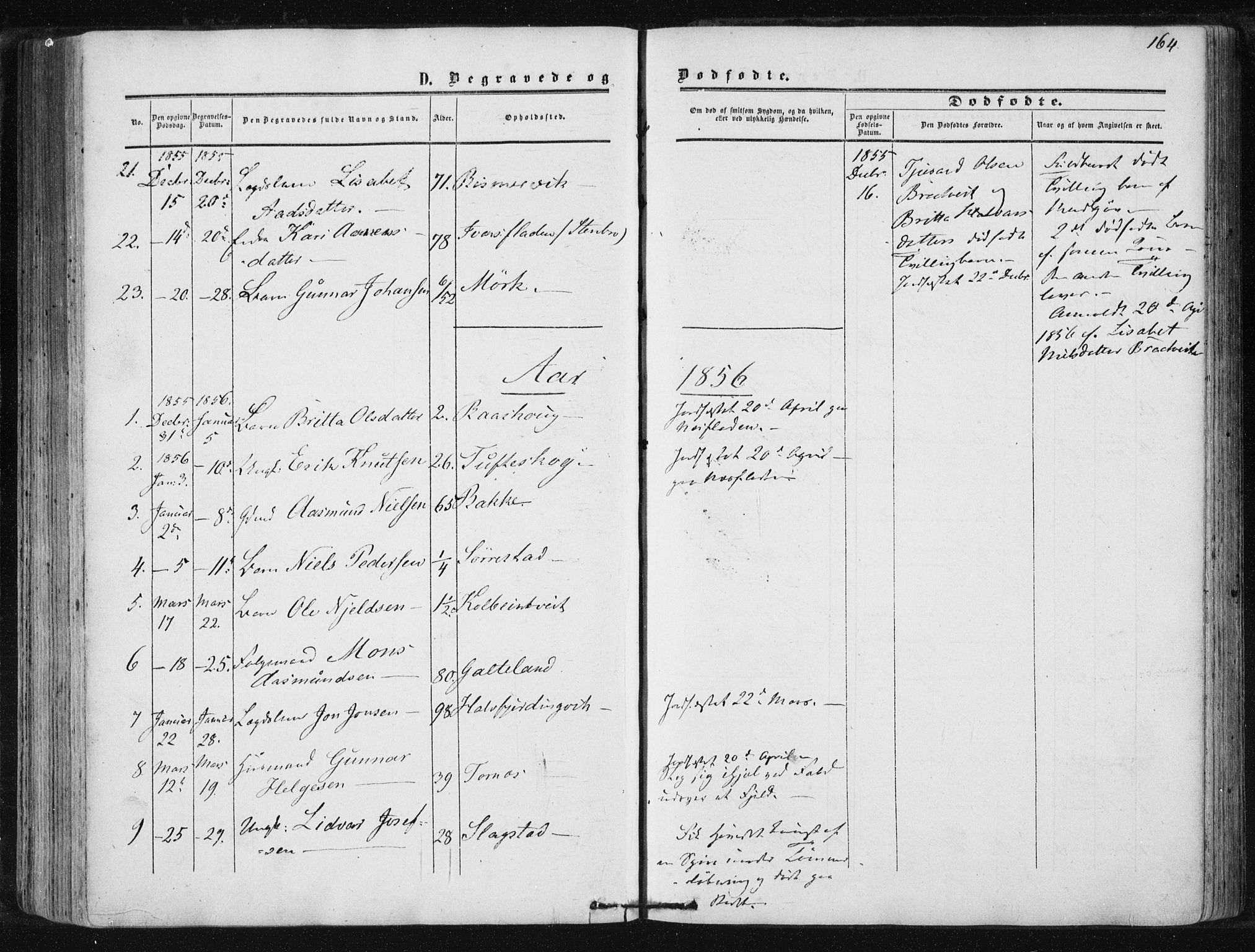 Suldal sokneprestkontor, AV/SAST-A-101845/01/IV/L0009: Parish register (official) no. A 9, 1854-1868, p. 164