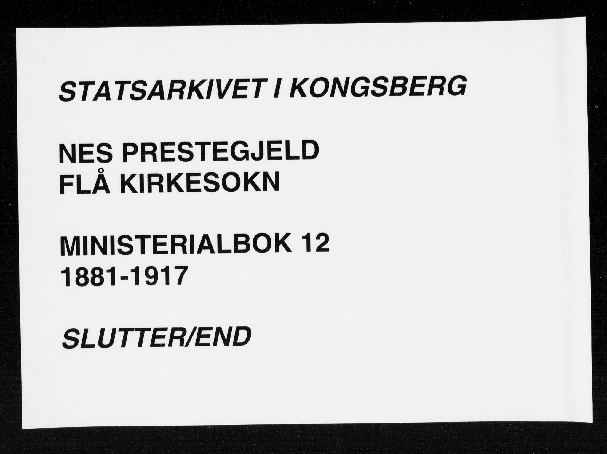 Nes kirkebøker, AV/SAKO-A-236/F/Fa/L0012: Parish register (official) no. 12, 1881-1917