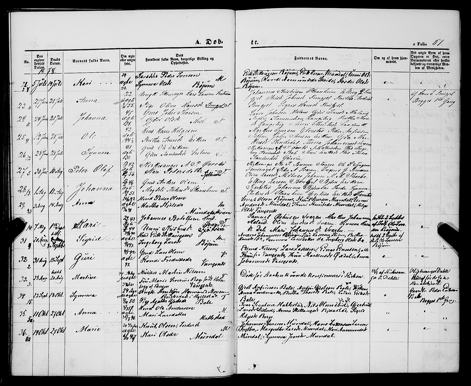 Balestrand sokneprestembete, AV/SAB-A-79601/H/Haa/Haaa/L0003: Parish register (official) no. A 3, 1867-1878, p. 51