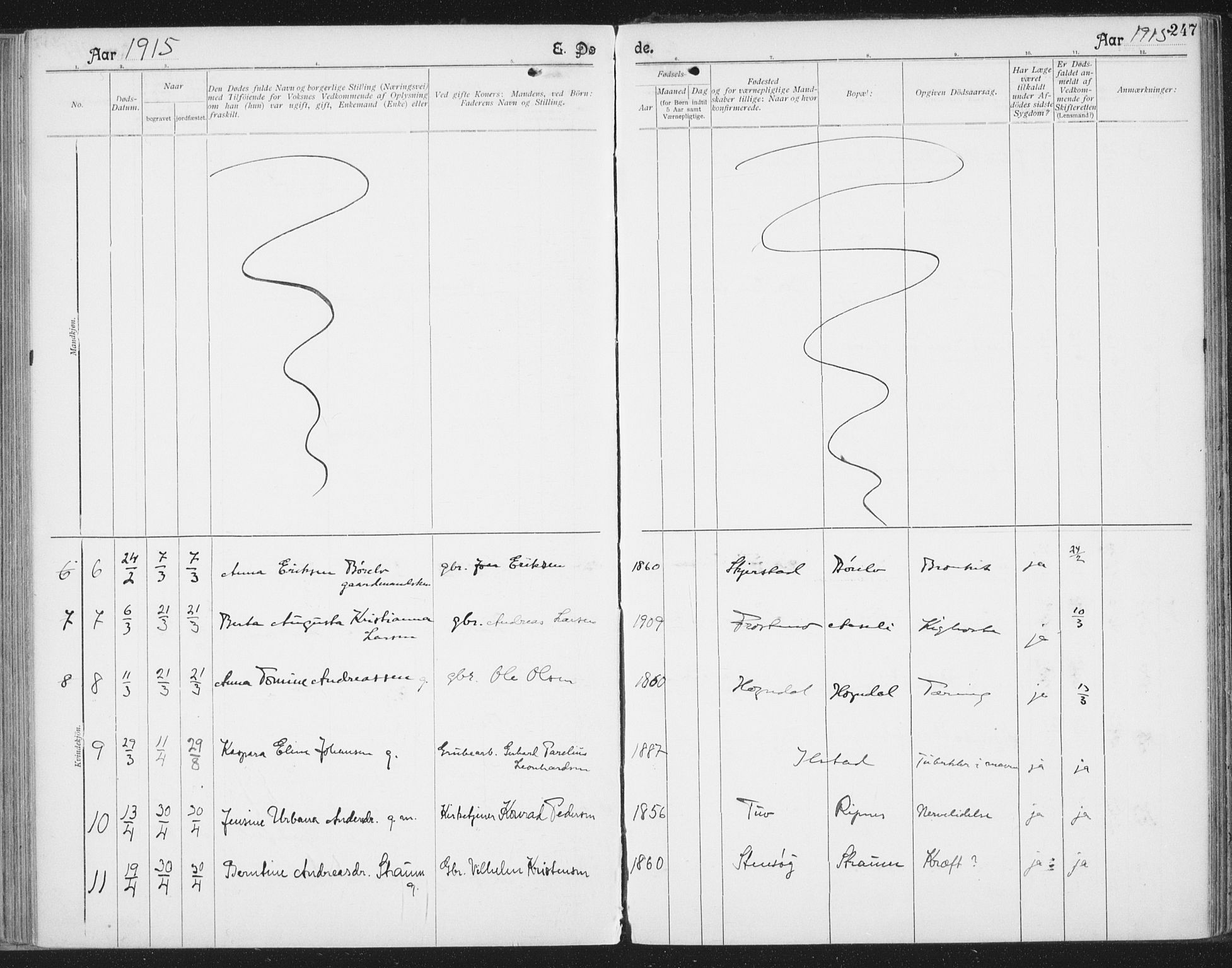 Ministerialprotokoller, klokkerbøker og fødselsregistre - Nordland, AV/SAT-A-1459/804/L0081: Parish register (official) no. 804A02, 1901-1915, p. 247