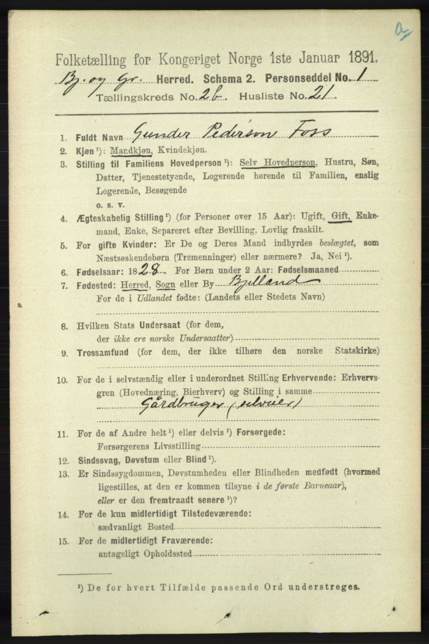 RA, 1891 census for 1024 Bjelland og Grindheim, 1891, p. 1243