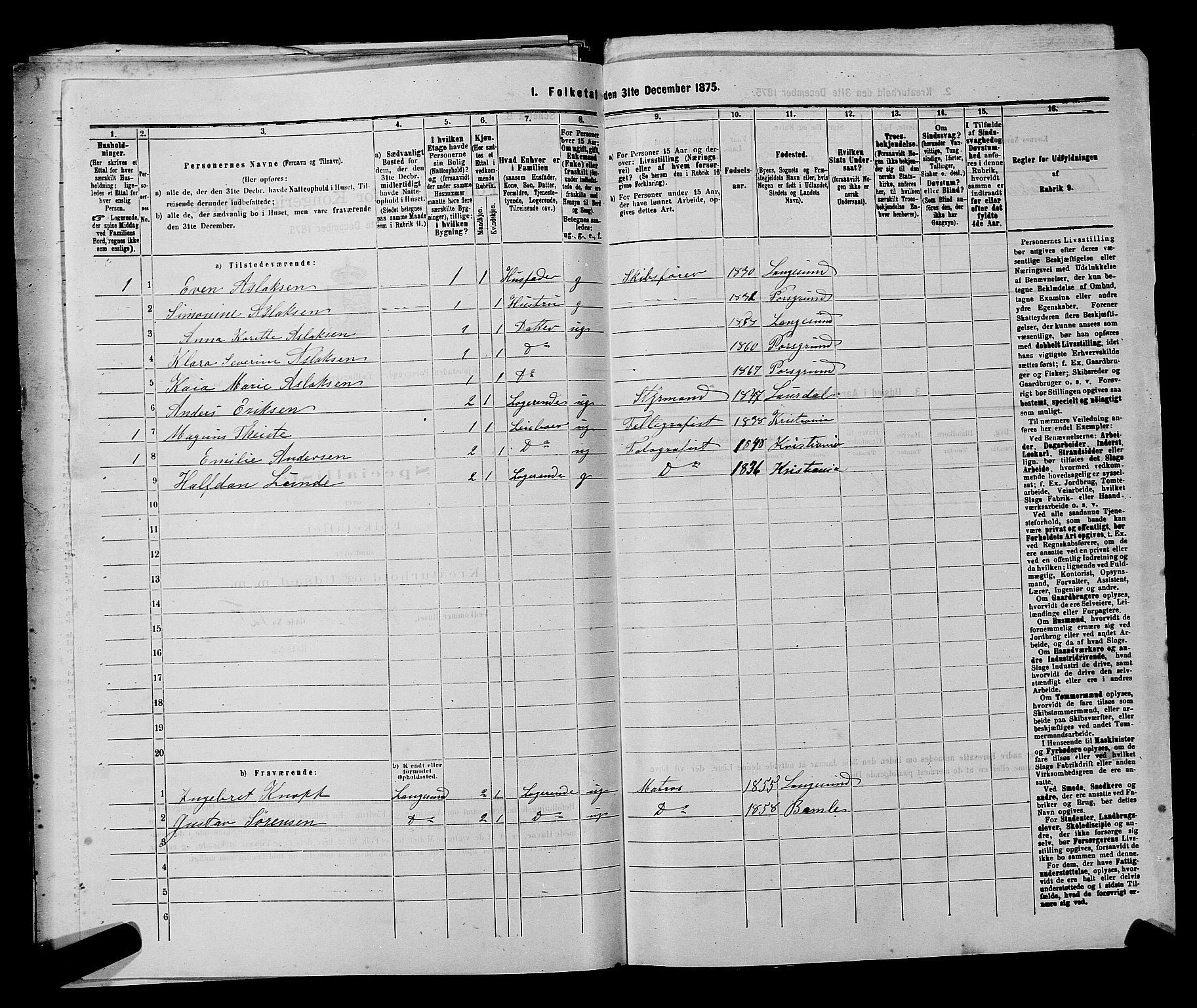 SAKO, 1875 census for 0805P Porsgrunn, 1875, p. 319