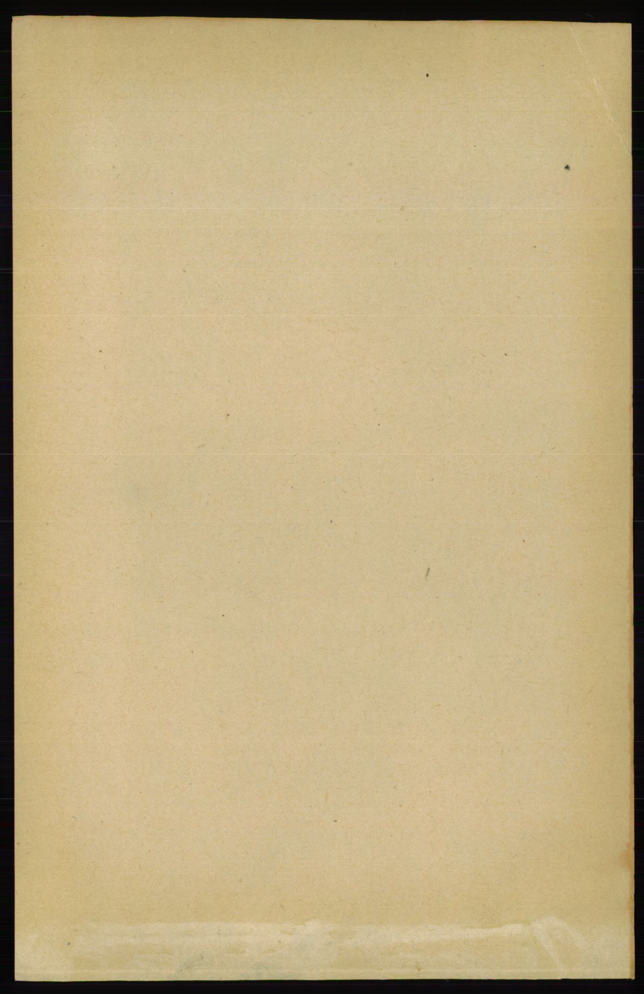 RA, 1891 census for 0828 Seljord, 1891, p. 105
