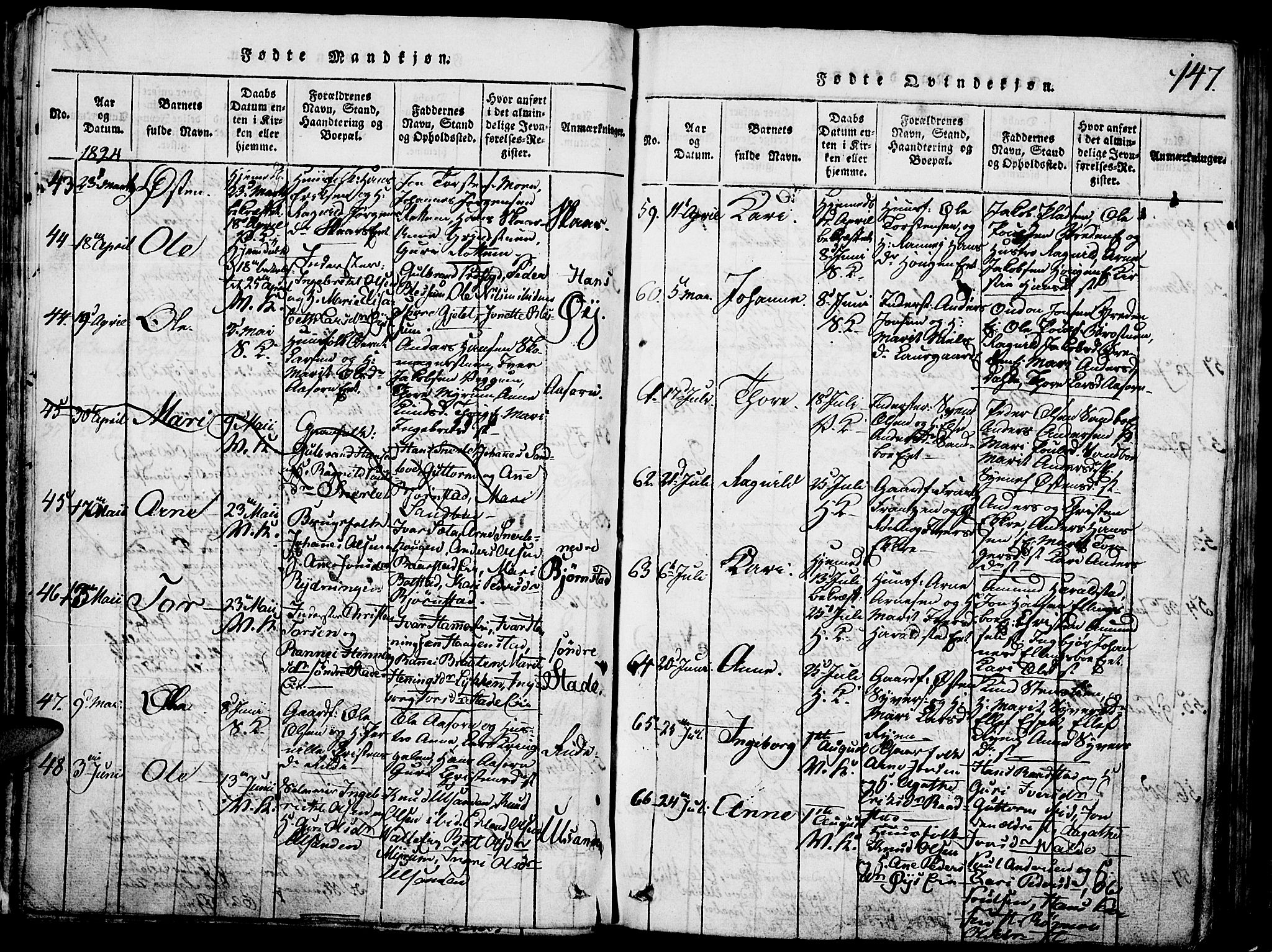 Vågå prestekontor, SAH/PREST-076/H/Ha/Hab/L0001: Parish register (copy) no. 1, 1815-1827, p. 146-147