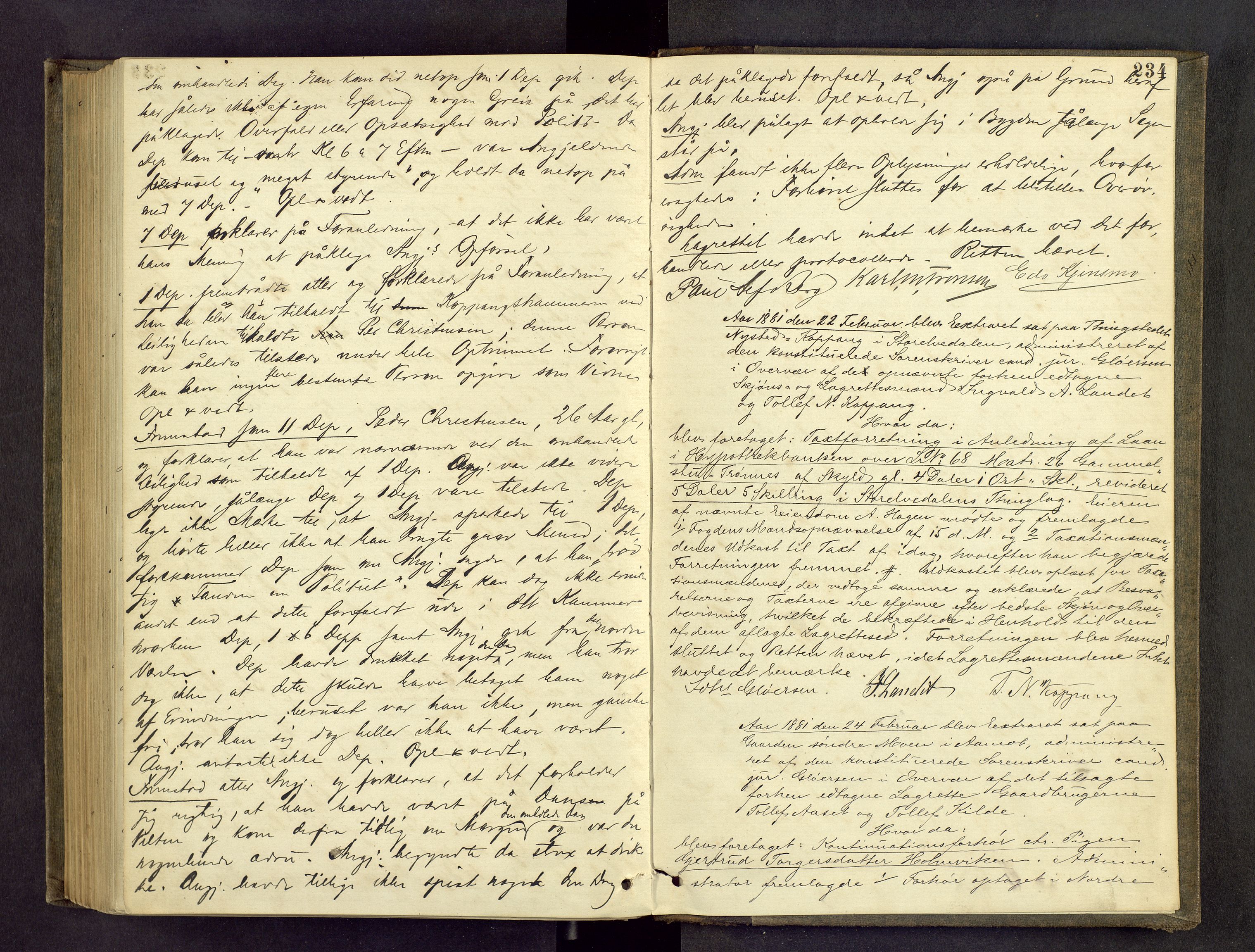 Sør-Østerdal sorenskriveri, AV/SAH-TING-018/G/Gc/L0015: Ekstrarettsprotokoll, 1878-1888, p. 233b-234a