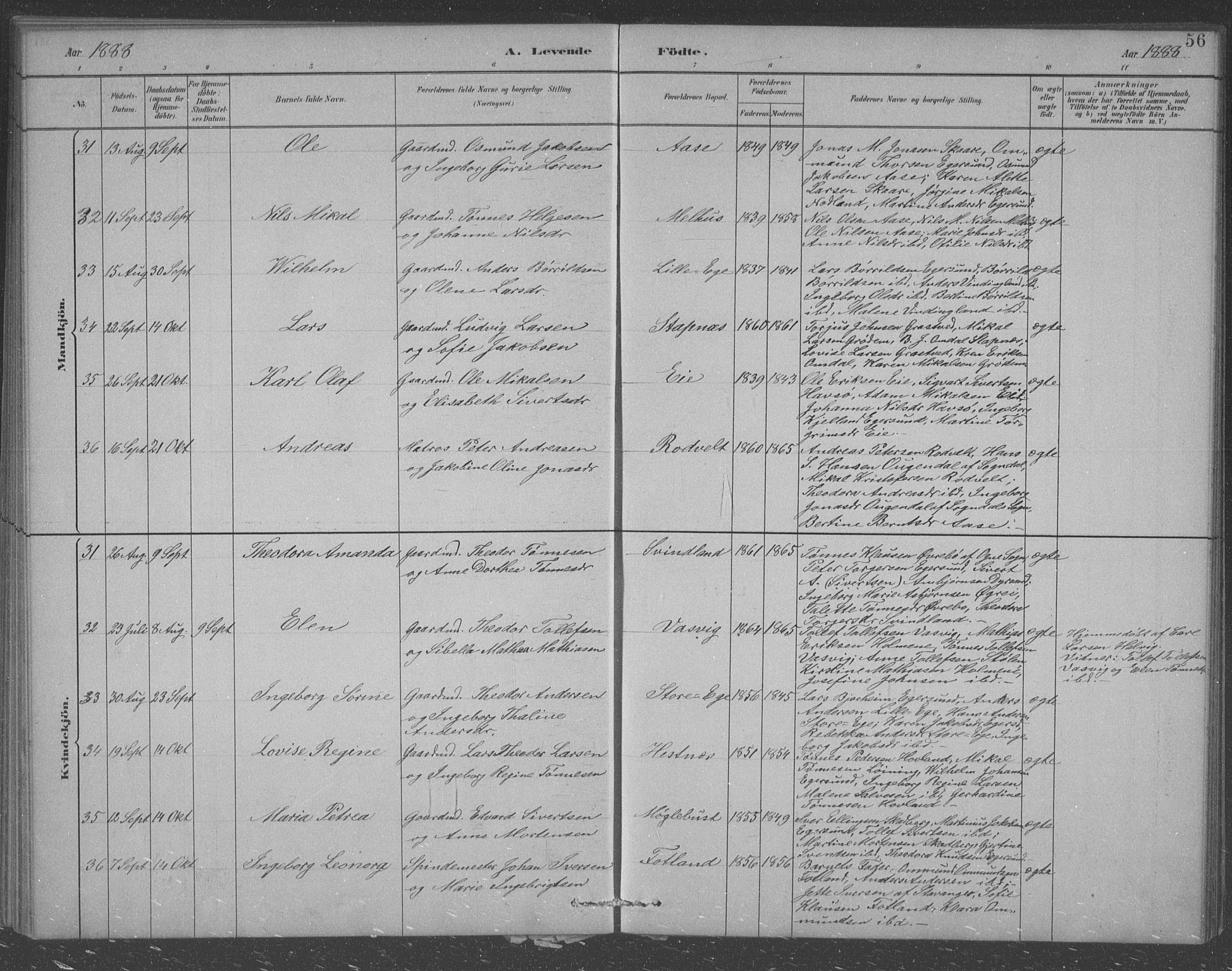 Eigersund sokneprestkontor, AV/SAST-A-101807/S09/L0007: Parish register (copy) no. B 7, 1882-1892, p. 56