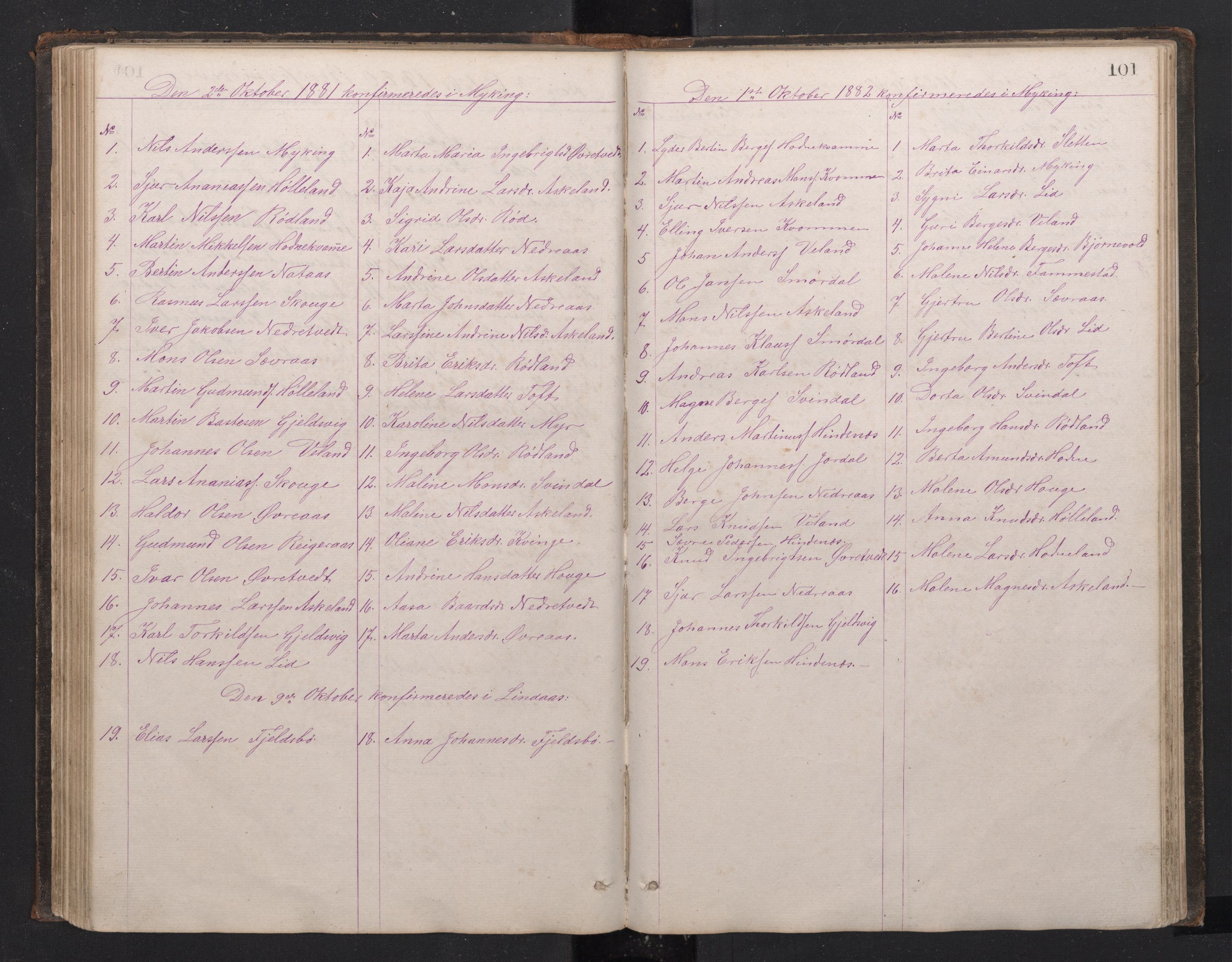 Lindås Sokneprestembete, SAB/A-76701/H/Hab: Parish register (copy) no. E 2, 1867-1892, p. 100b-101a
