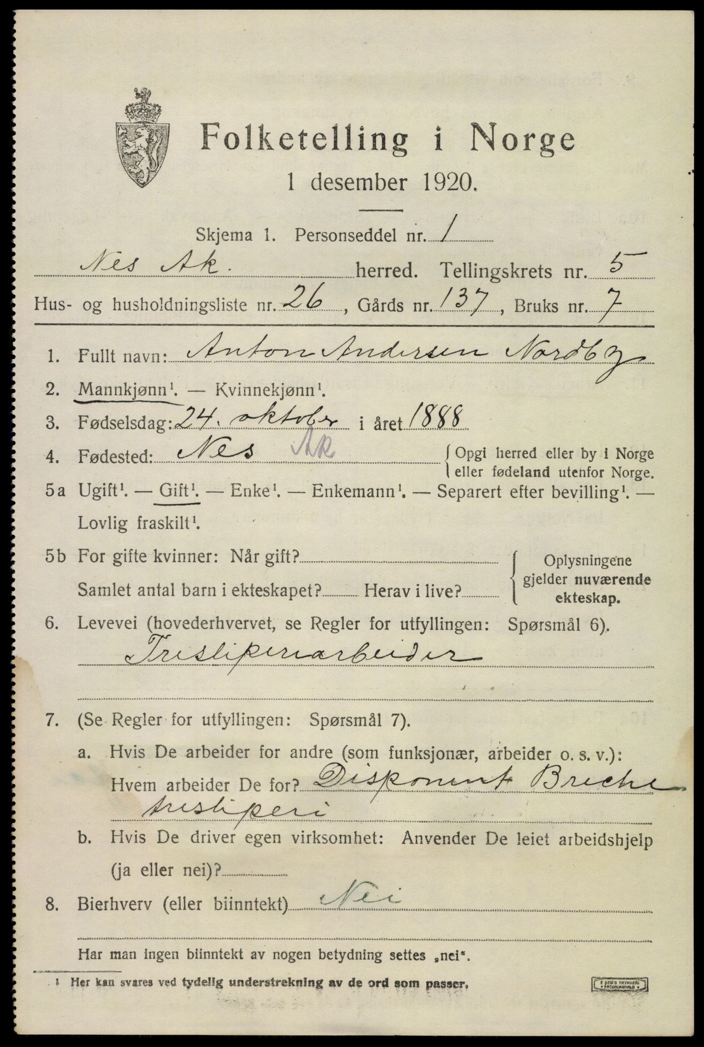 SAO, 1920 census for Nes, 1920, p. 6770