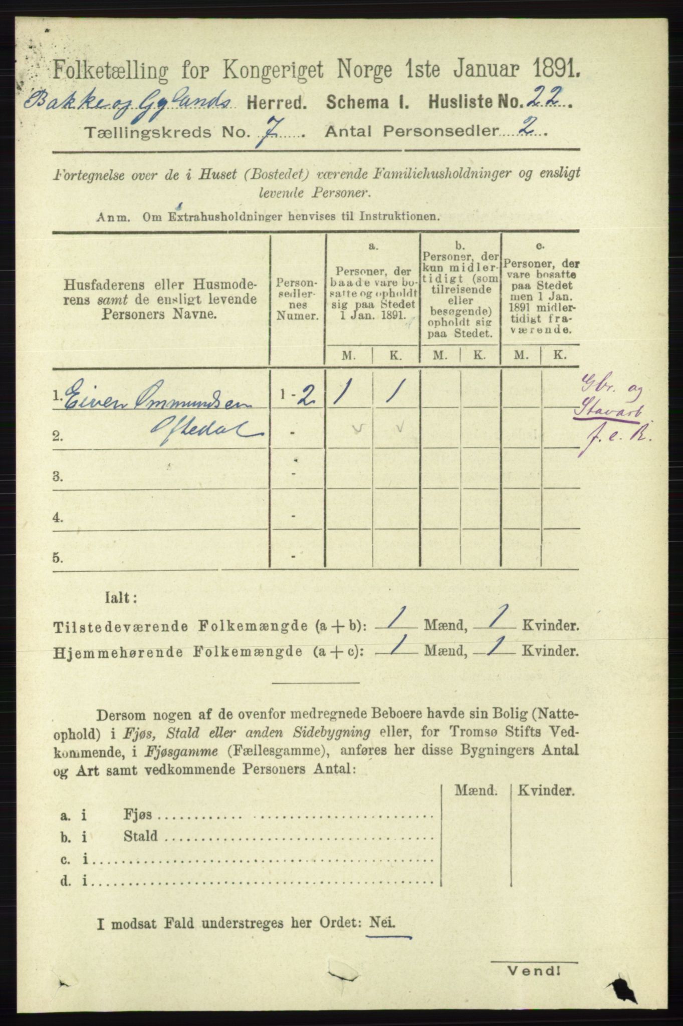 RA, 1891 census for 1045 Bakke, 1891, p. 1297