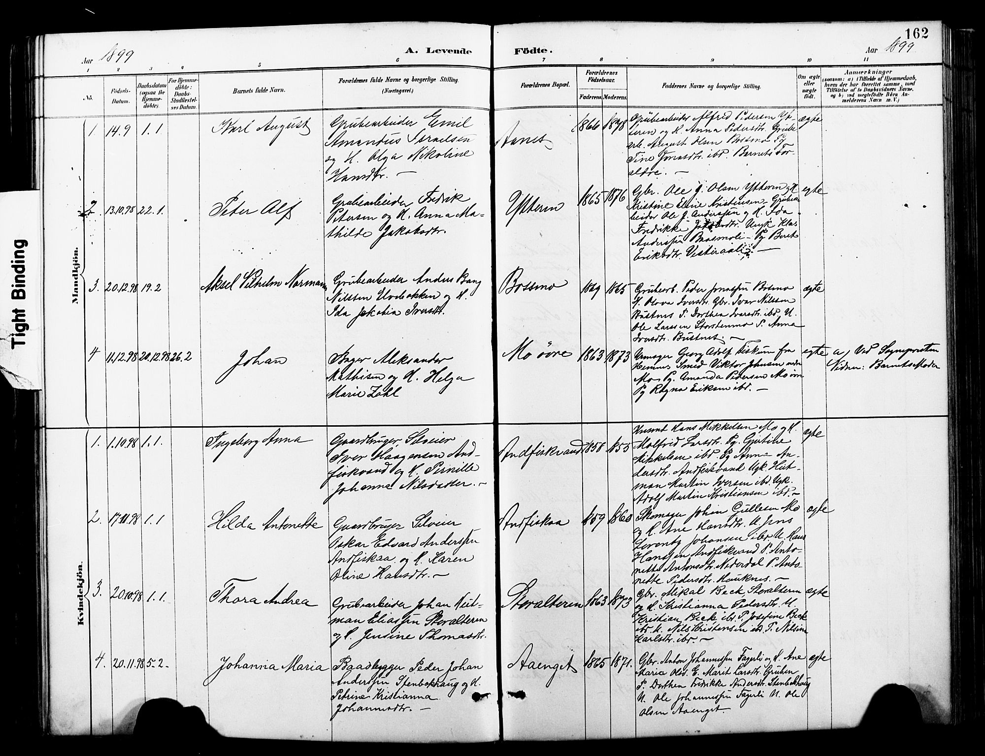 Ministerialprotokoller, klokkerbøker og fødselsregistre - Nordland, SAT/A-1459/827/L0421: Parish register (copy) no. 827C10, 1887-1906, p. 162