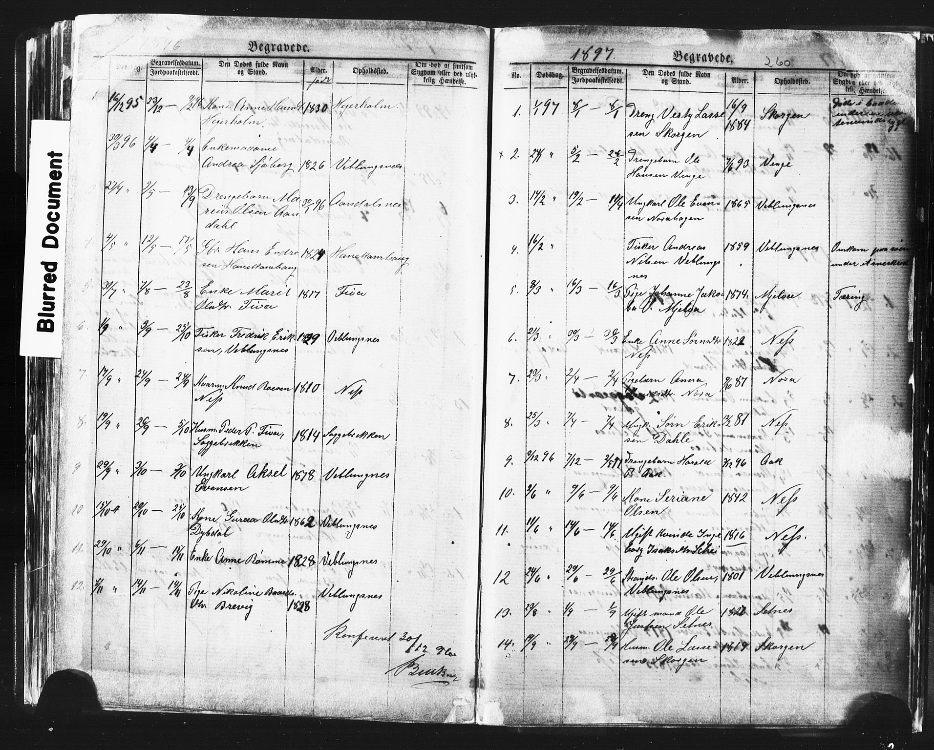 Ministerialprotokoller, klokkerbøker og fødselsregistre - Møre og Romsdal, SAT/A-1454/544/L0580: Parish register (copy) no. 544C02, 1867-1909, p. 260